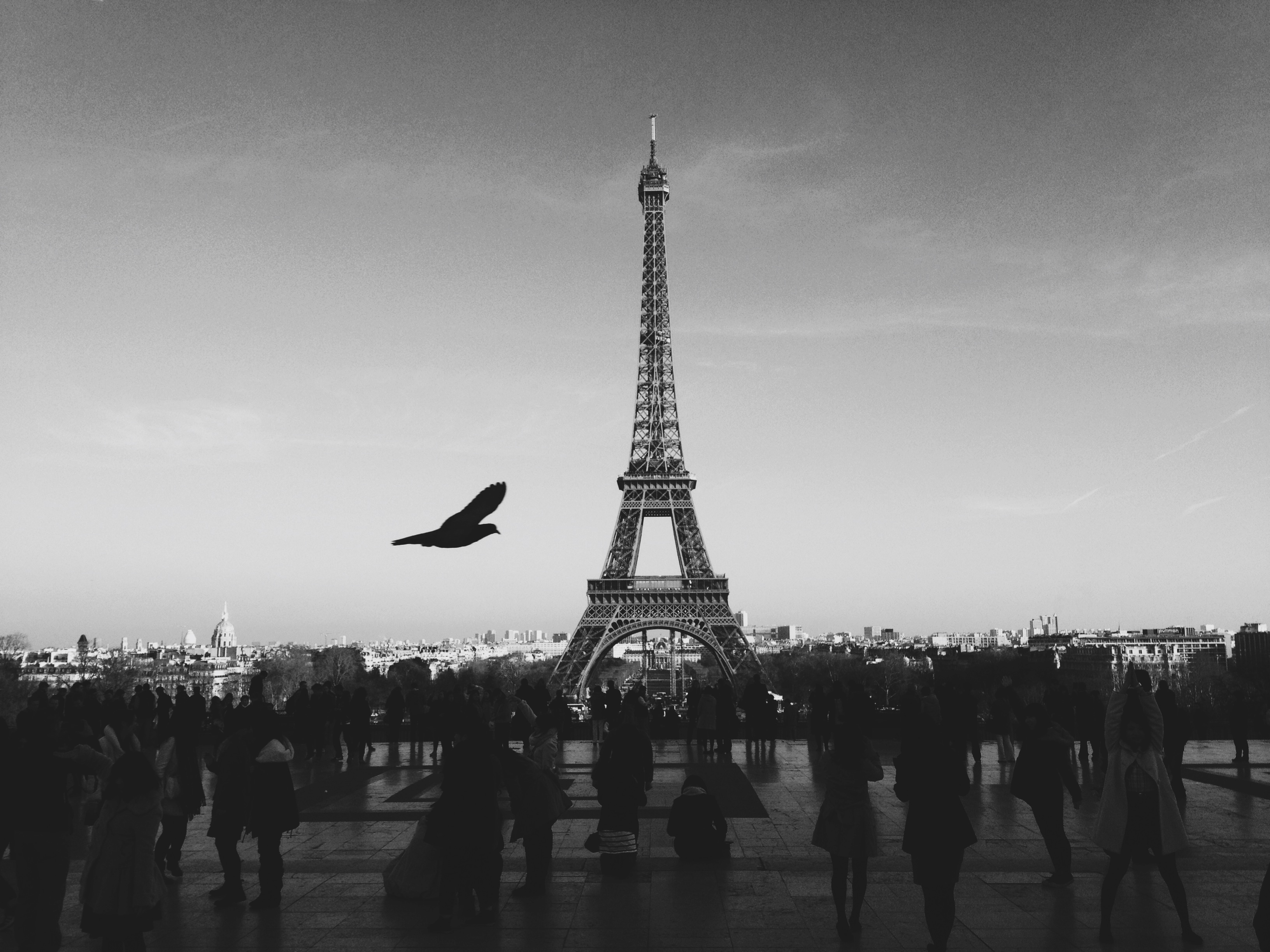The Eiffel Tower, Eiffel, Paris, People, Steel, HQ Photo