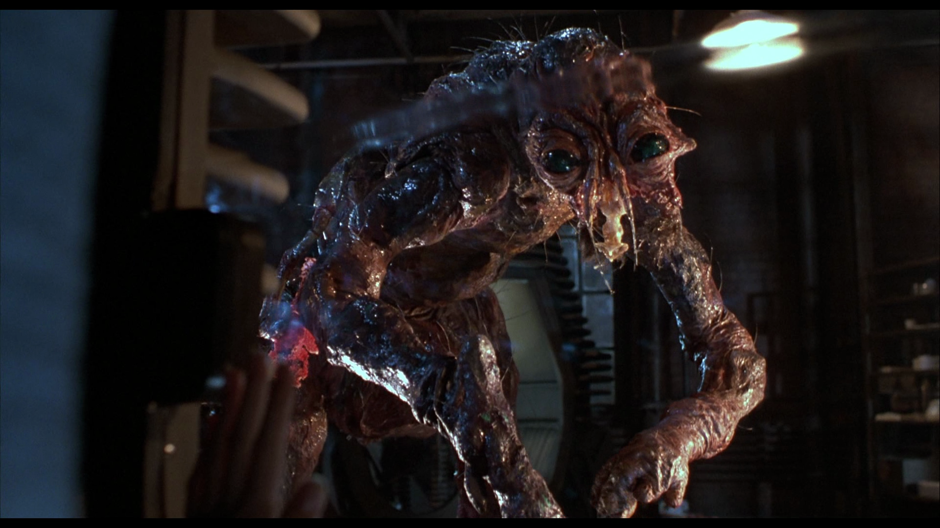 Blu-ray Review] Via Vision Entertainment's 'The Fly: The Ultimate ...
