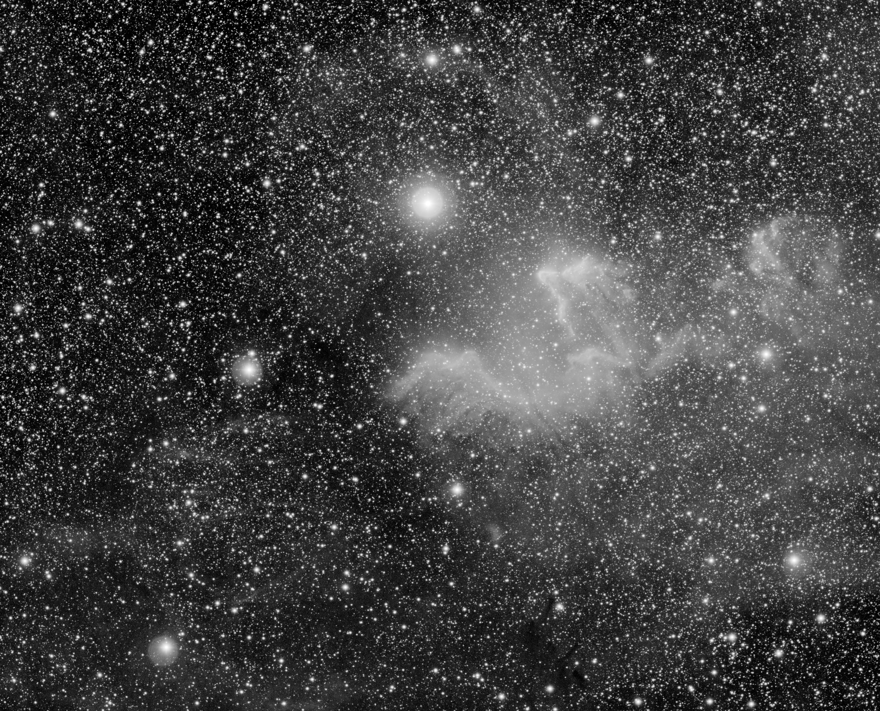 The gamma cas nebula photo