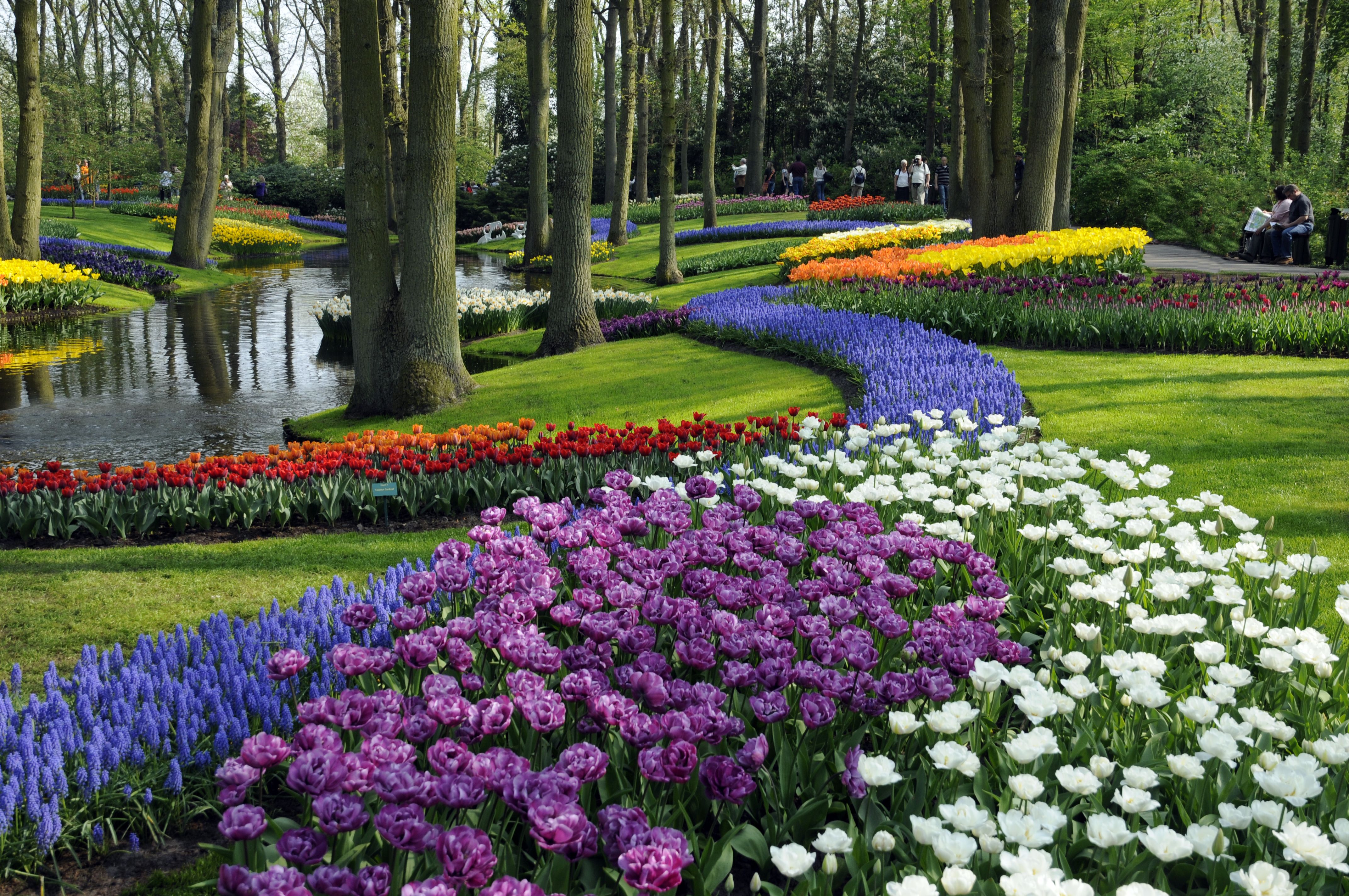 Keukenhof – The Garden of Europe - Netherlands Tourism