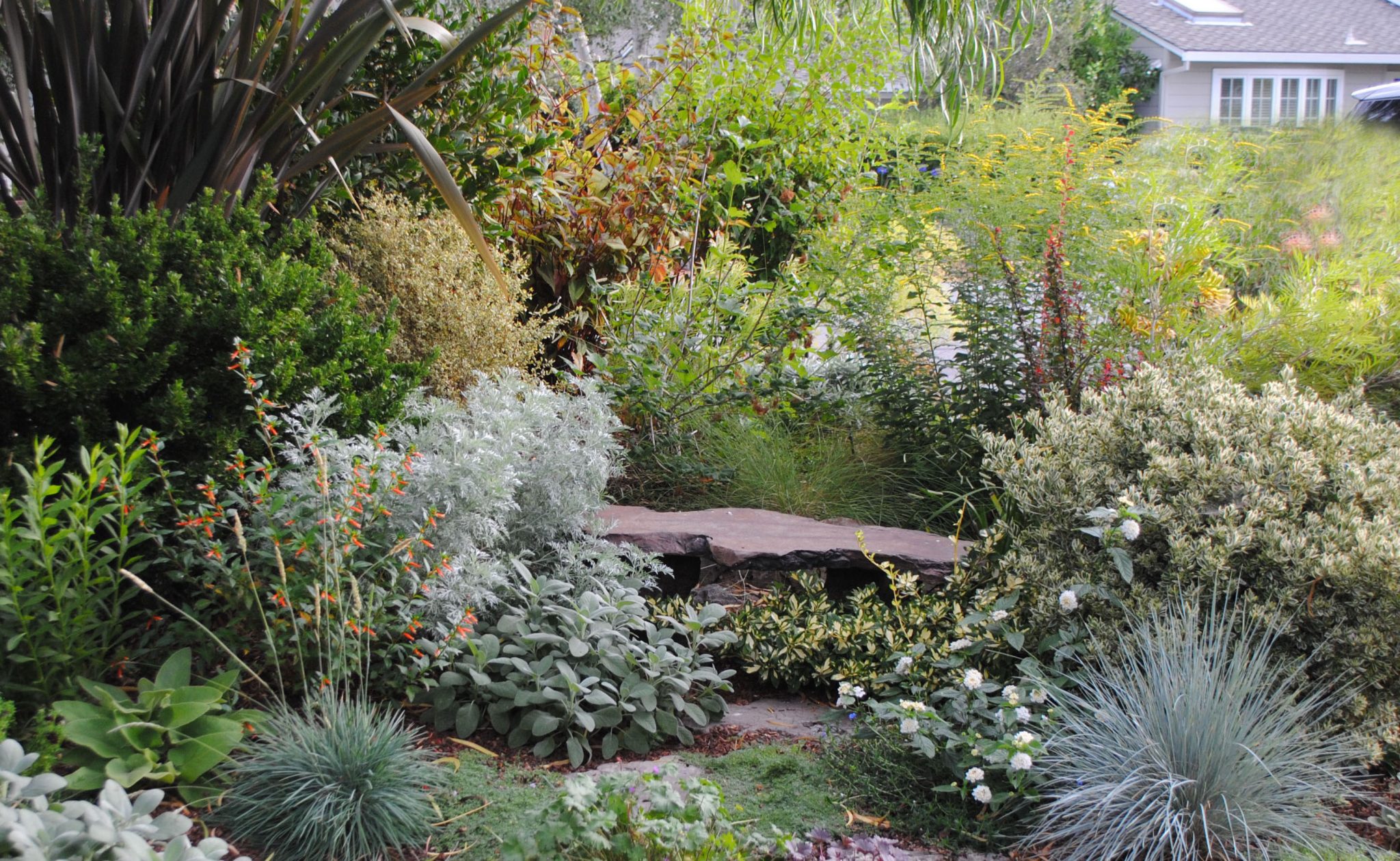 Rebecca's Front Garden | Harmony in the Garden
