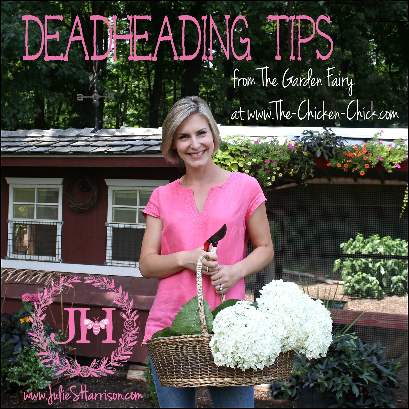Pro Tips from The Garden Fairy: Deadheading Flowers- How When & Why ...