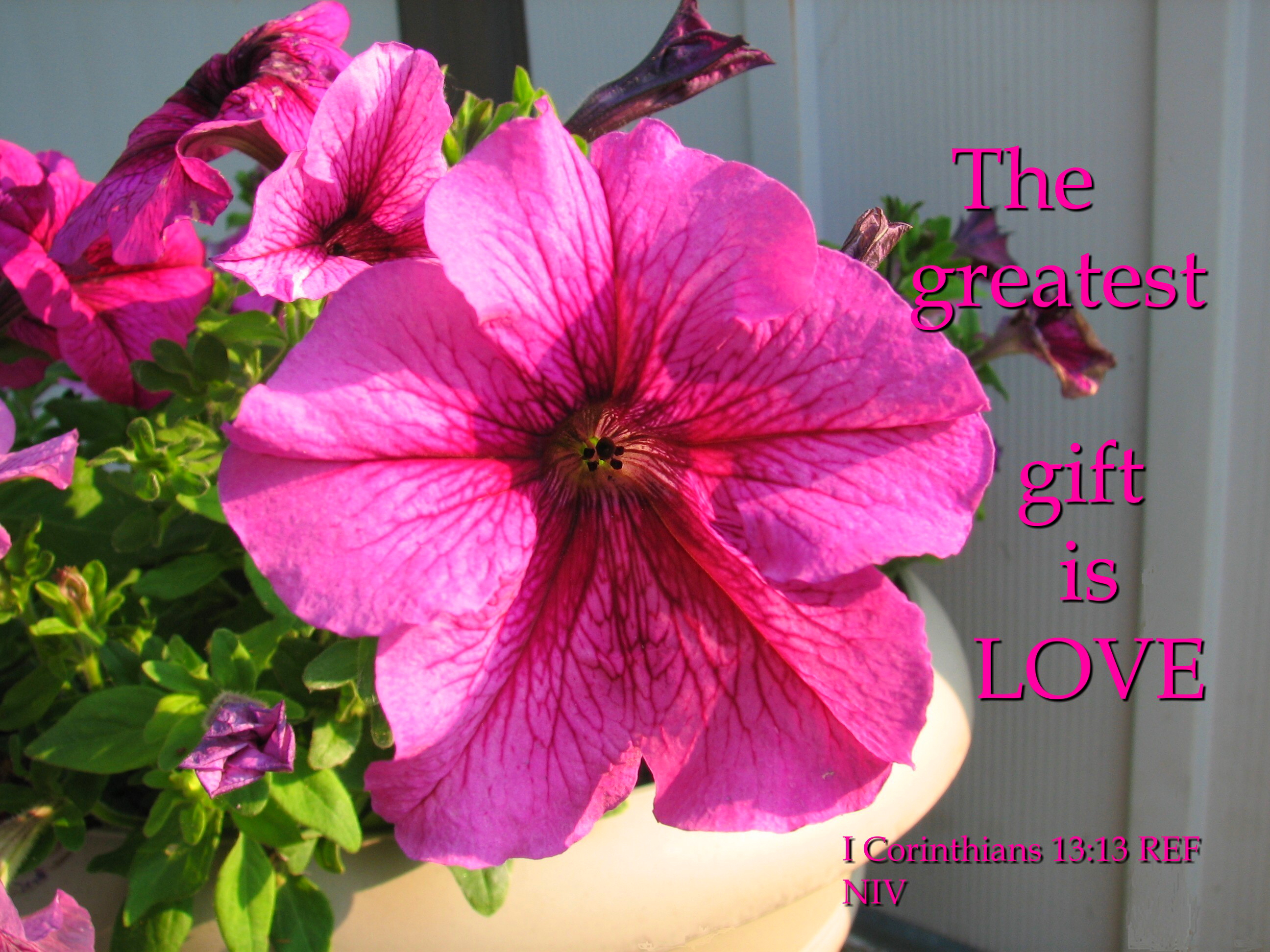 The greatest gift is love photo