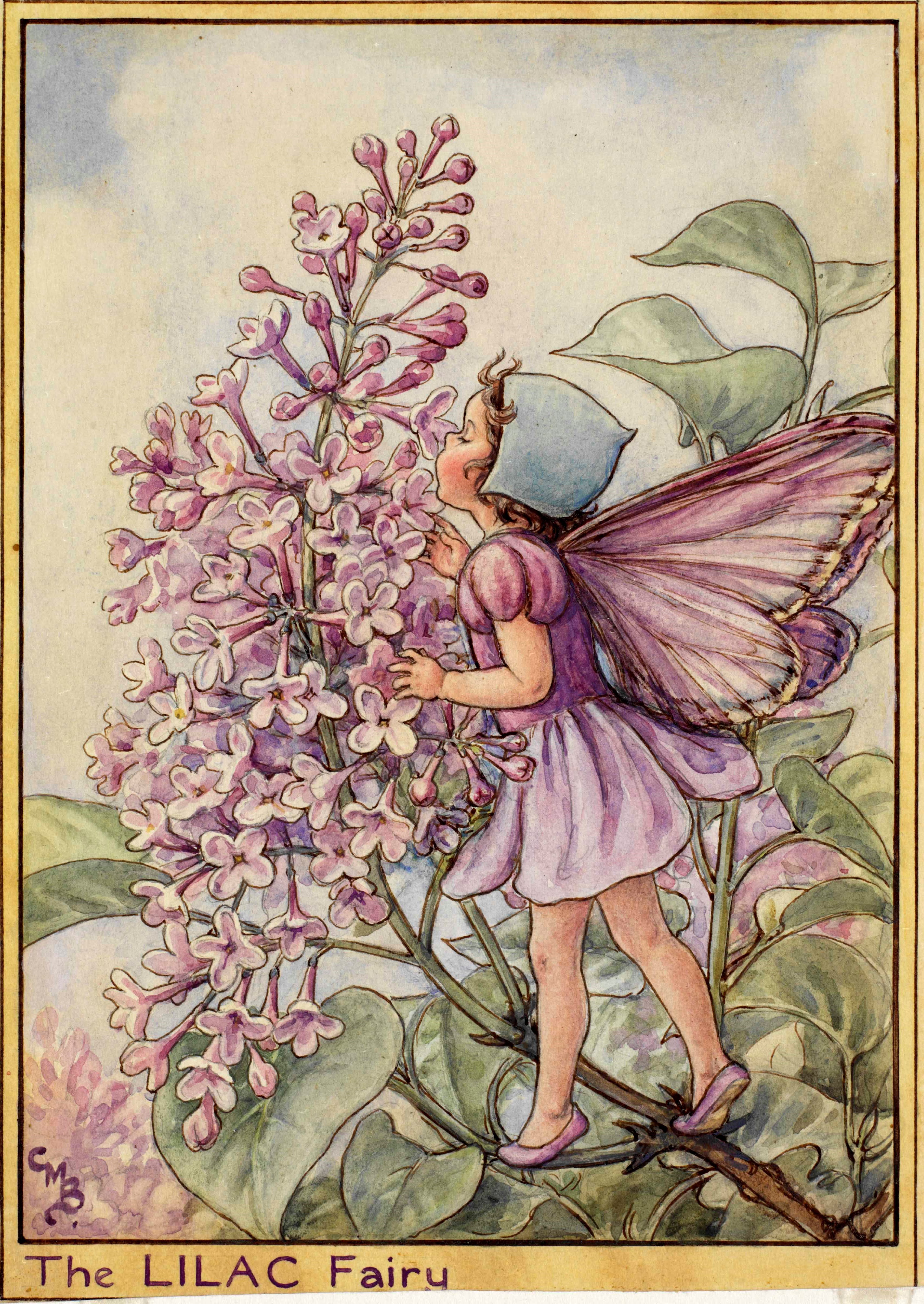 The Lilac Fairy - Flower Fairies