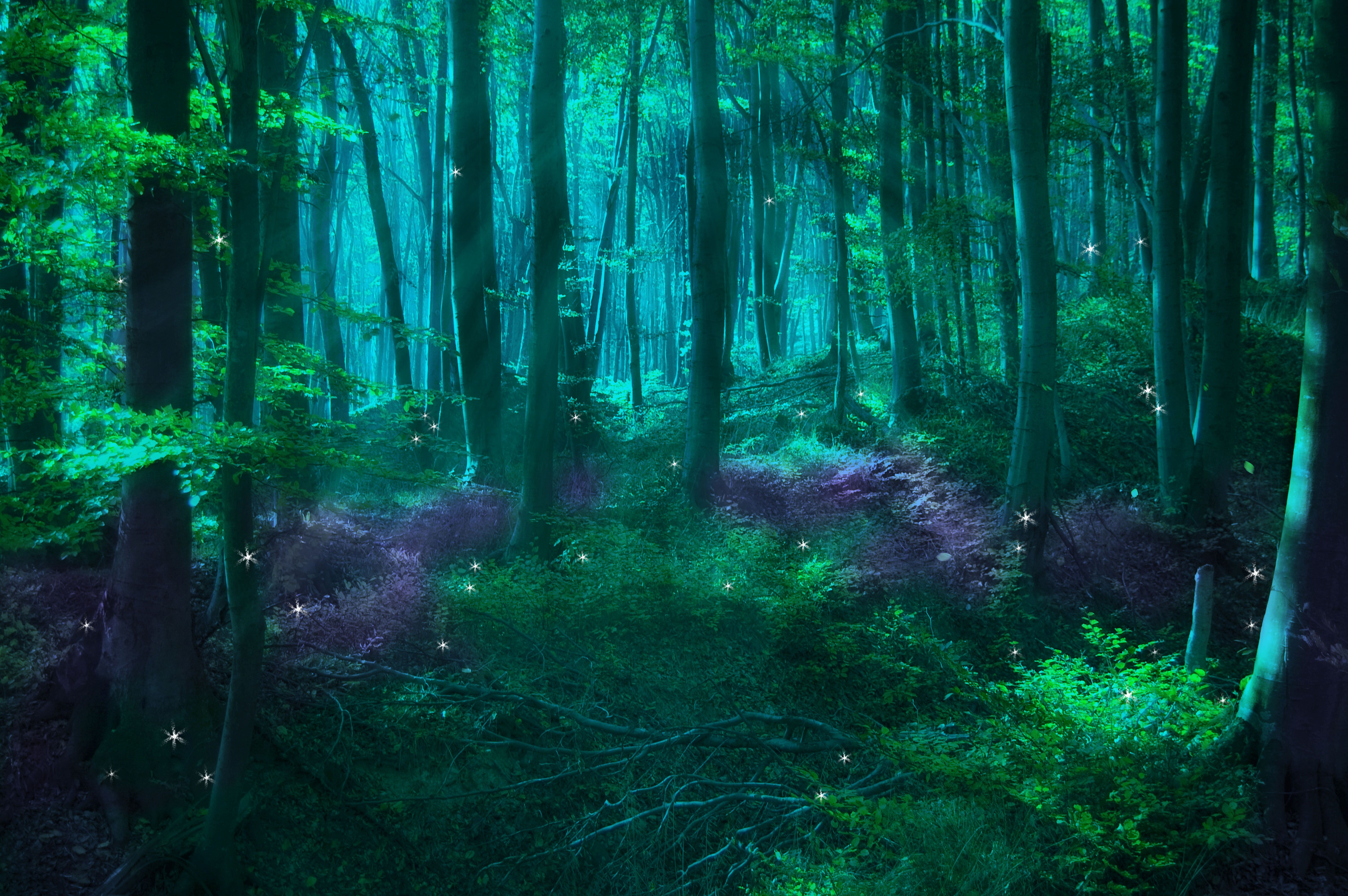 3D Magical Fairy Forest | Magical Forest Fairies Create an enchanted ...