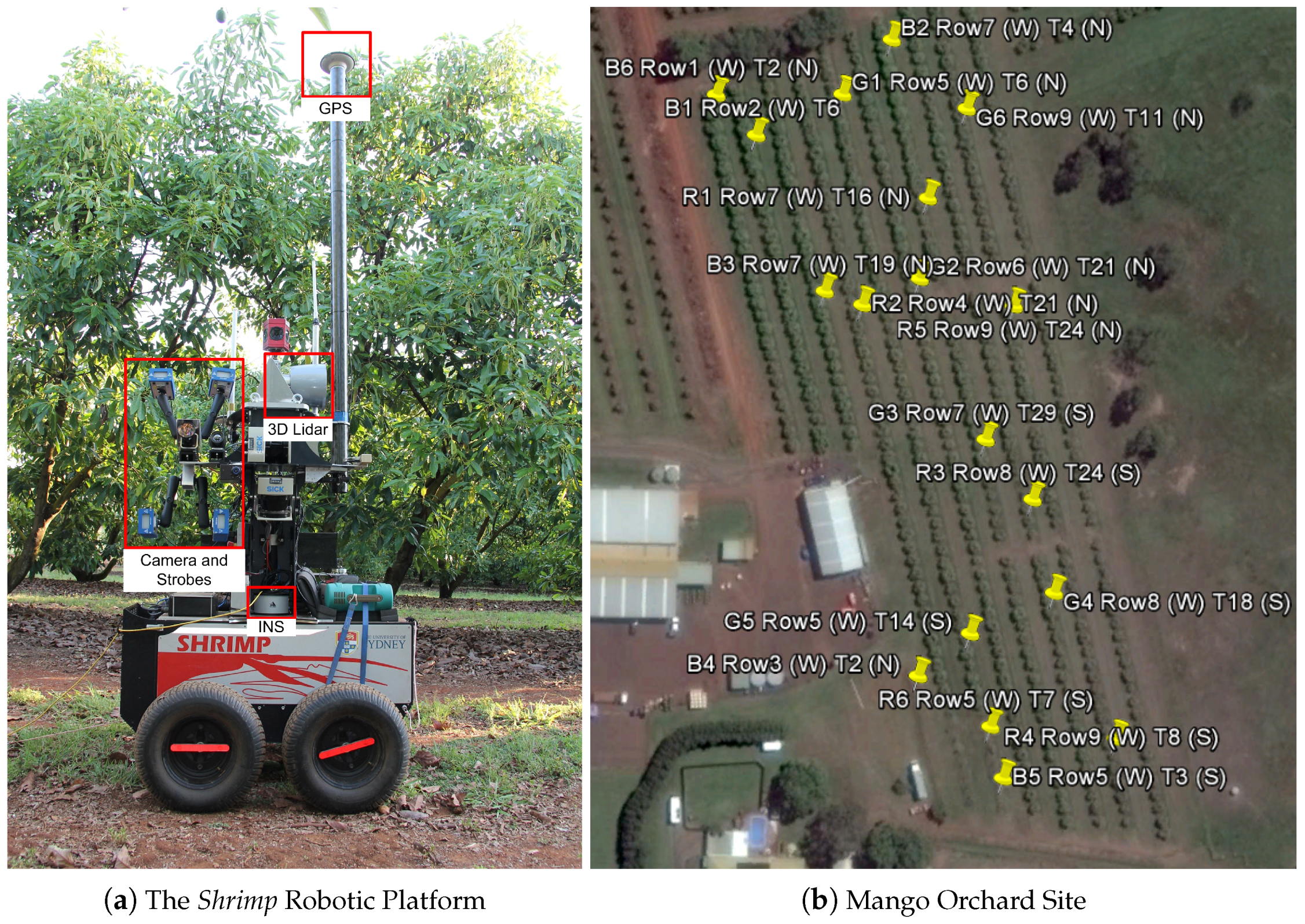 Sensors | Free Full-Text | Image Based Mango Fruit Detection ...