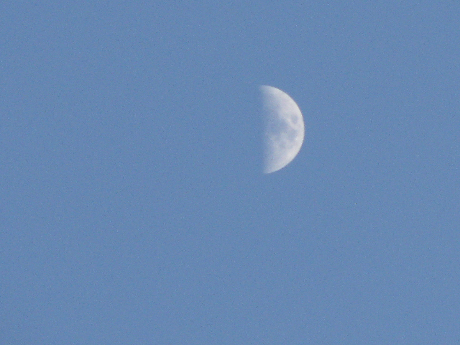 The moon photo
