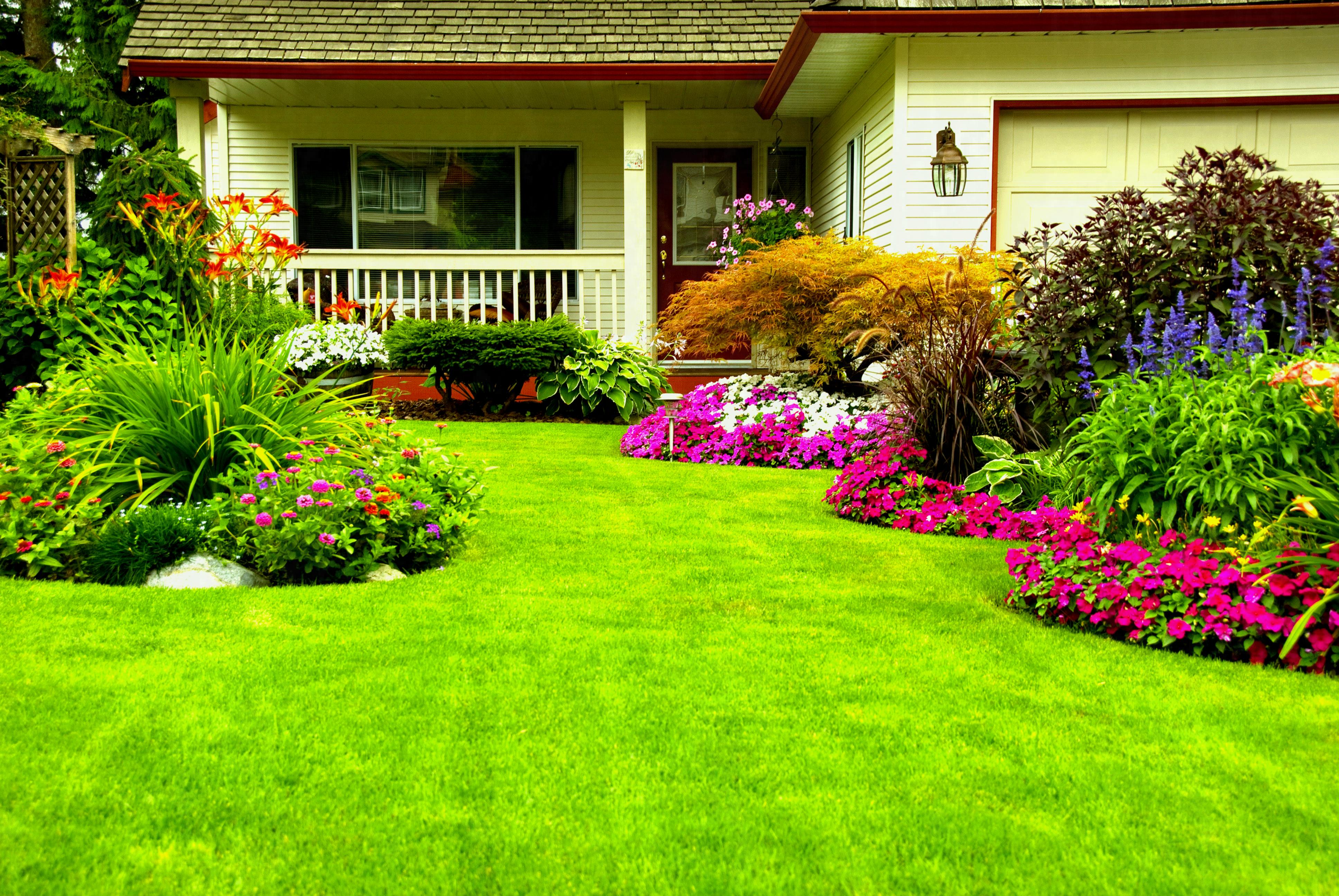 Crafting The Perfect Landscape Design For Colorado Springs Personal ...