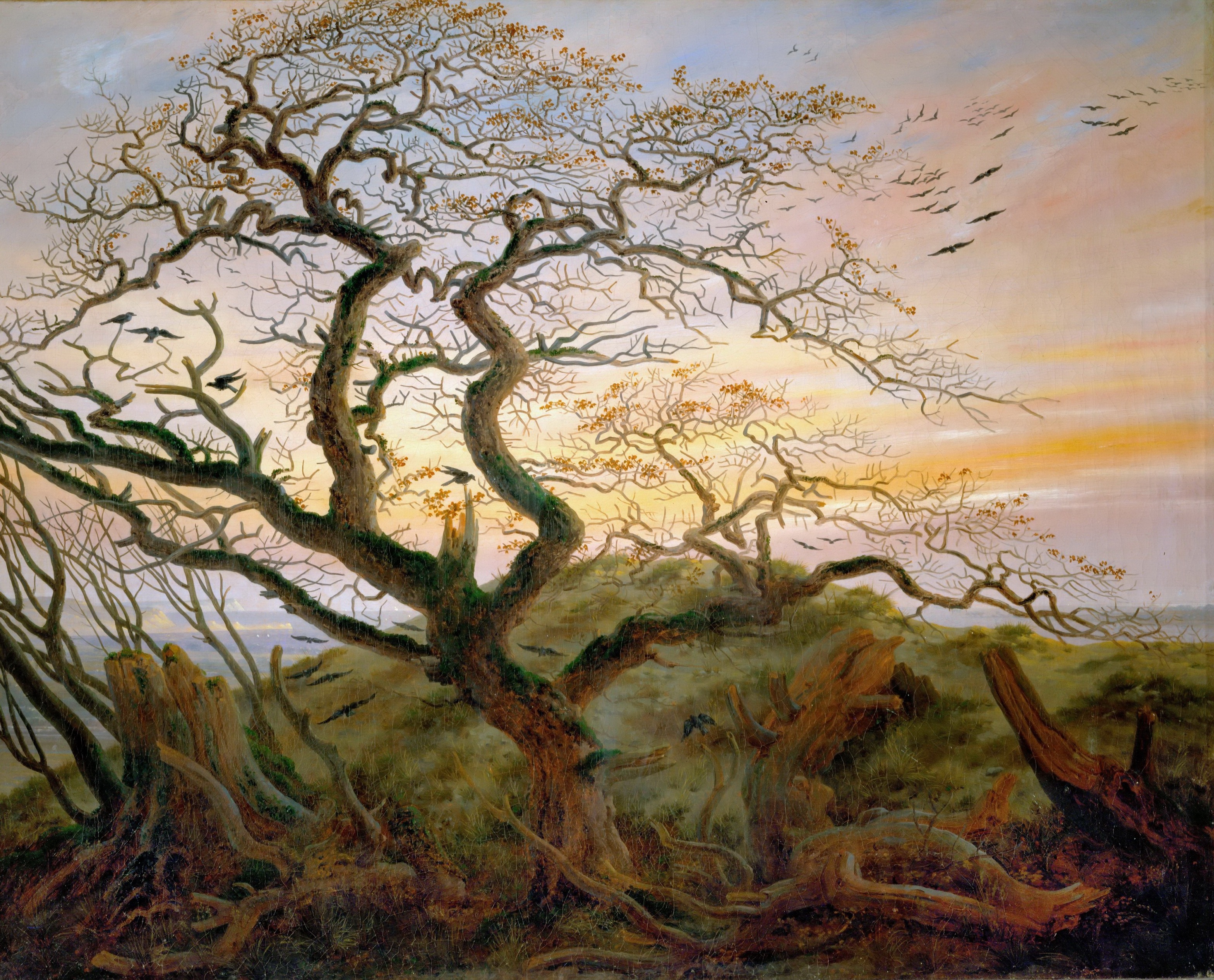 File:Caspar David Friedrich The Tree of Crows.jpg - Wikimedia Commons