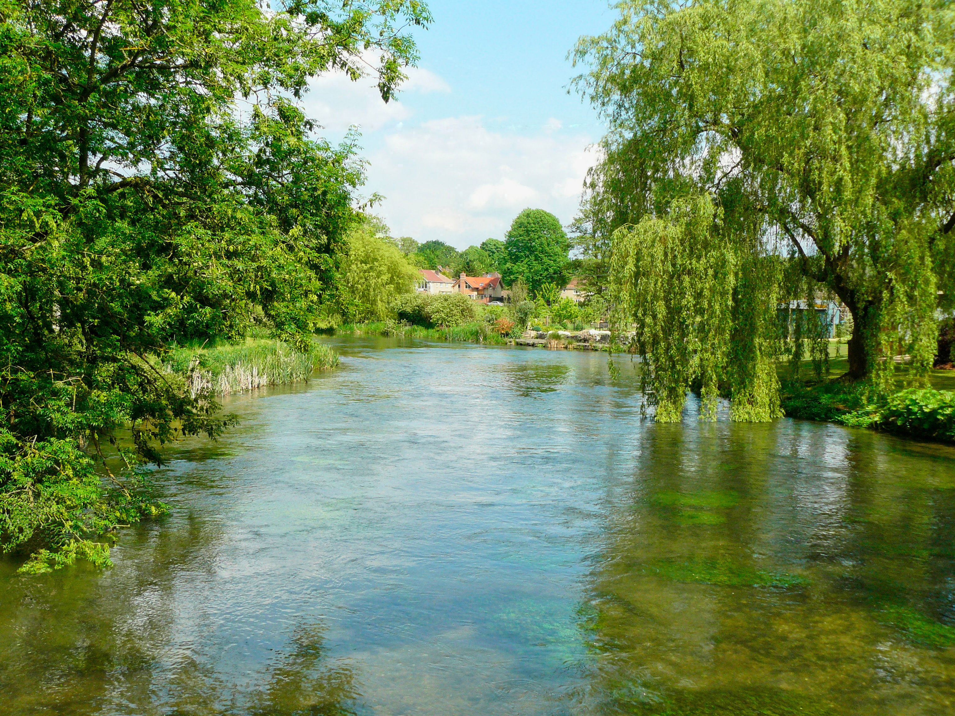 The River Itchen at Twyford – Stephen says…