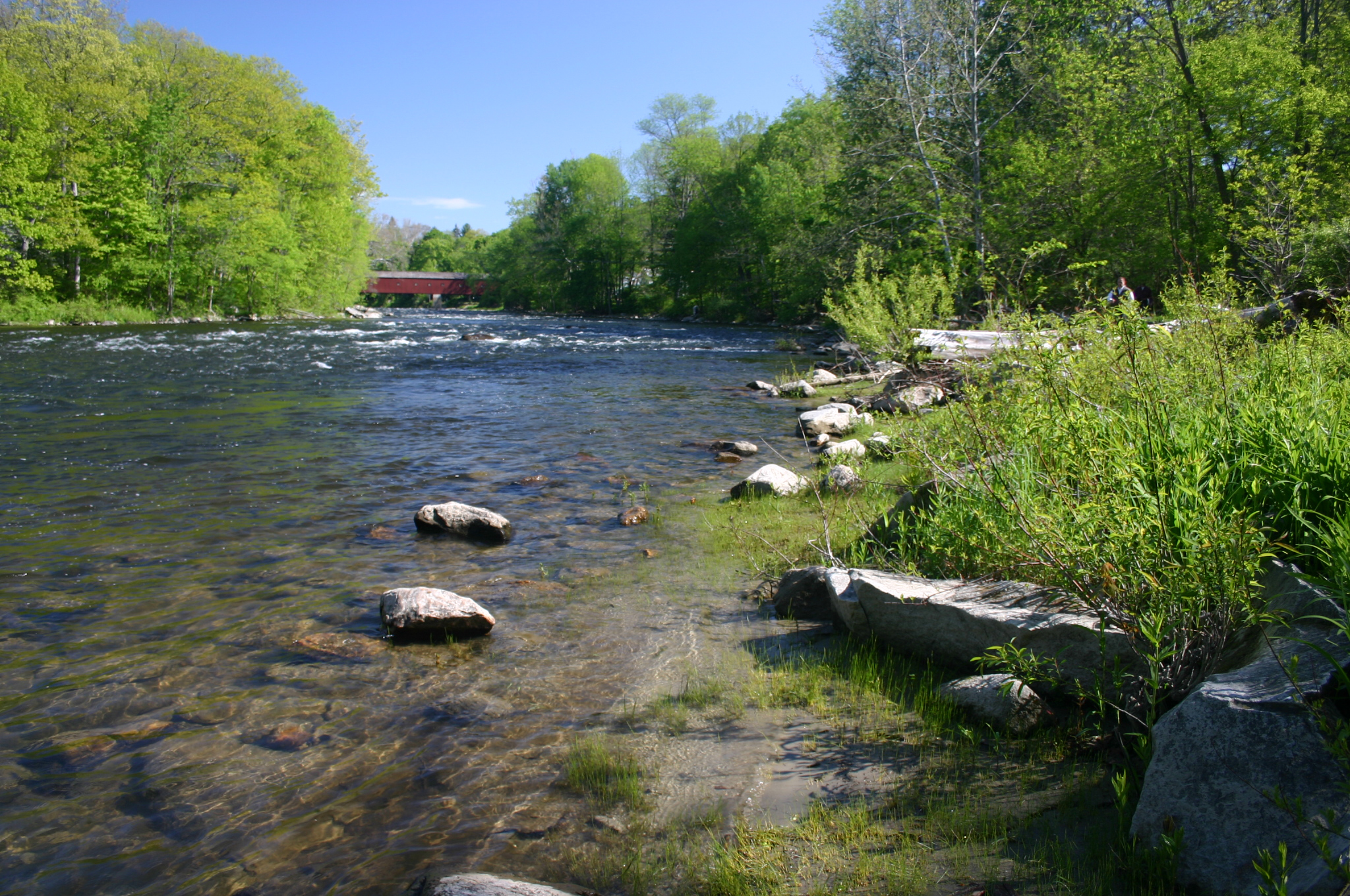 $2 Million in Aquatic Restoration Projects Proposed for Polluted ...
