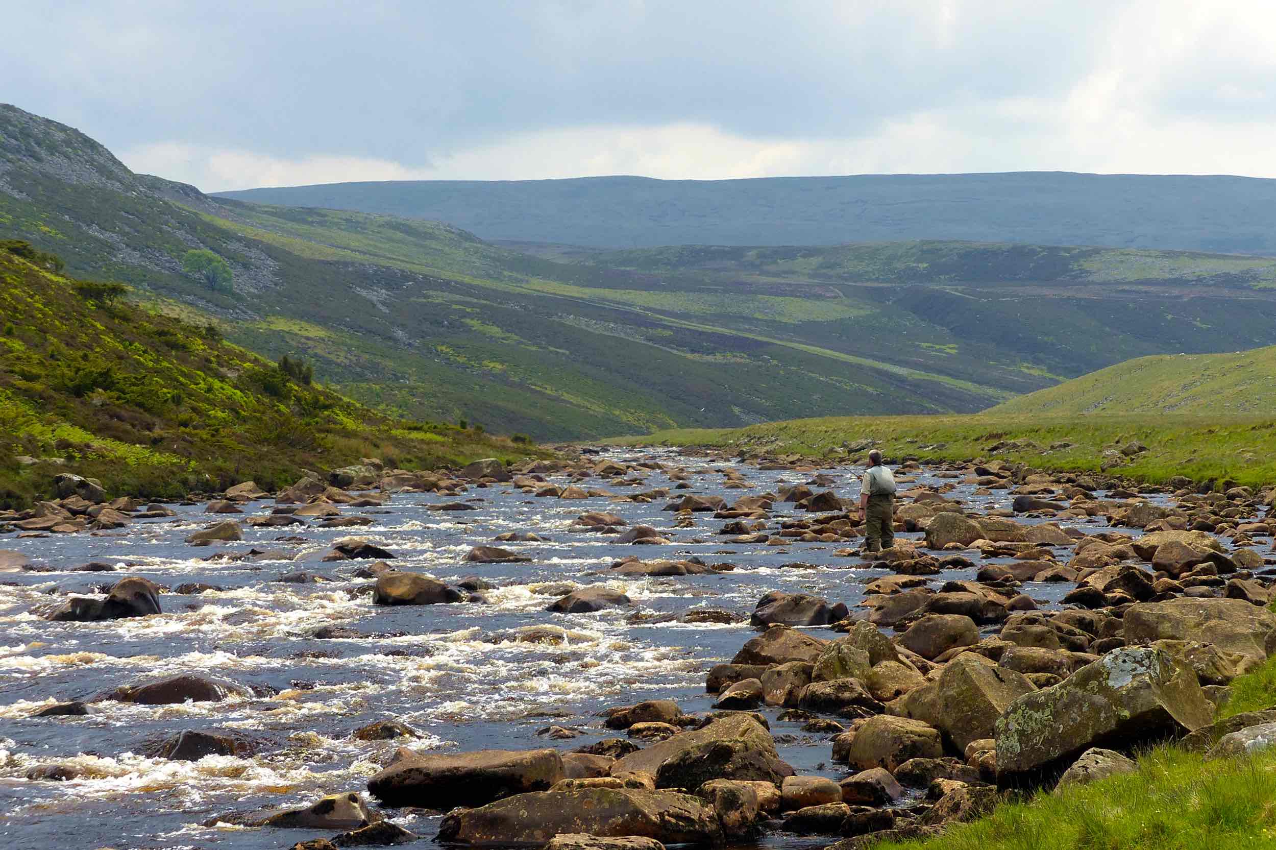 River Tees Fly Fishing Guide Teesdale