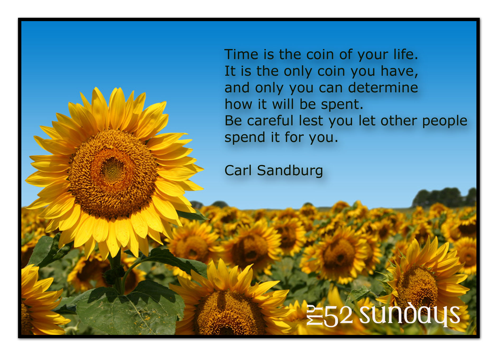 The Sunflower and You – My 52 Sundays