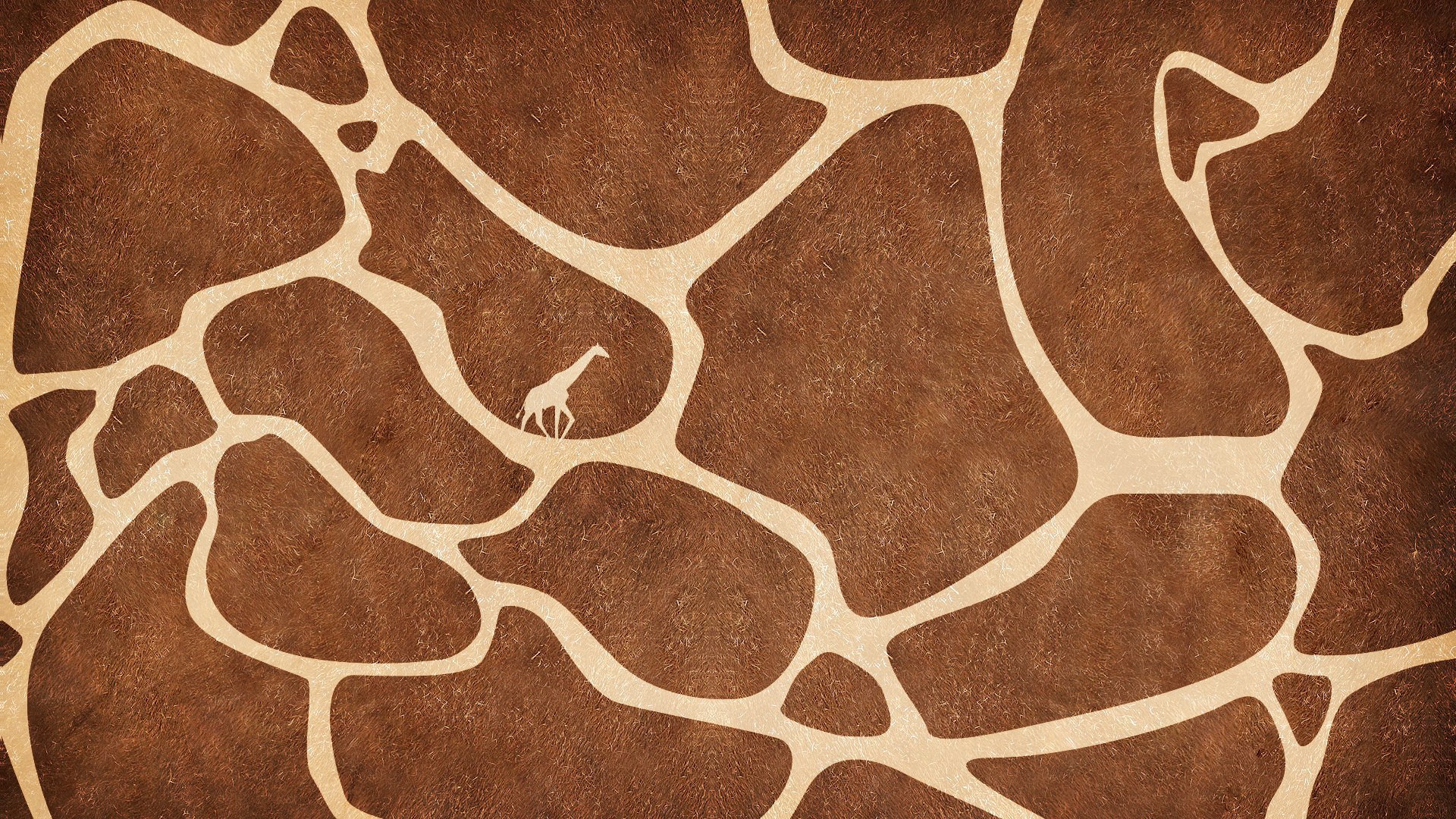 The texture of the skin of a giraffe wallpapers and images ...