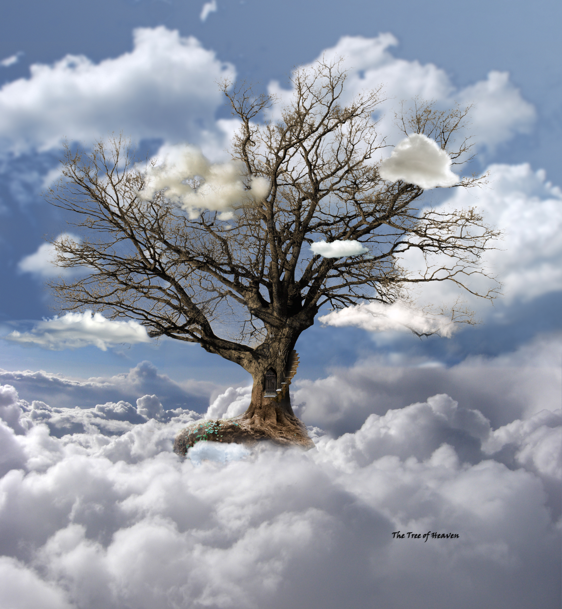 Tree of Heaven by egypt04 on DeviantArt