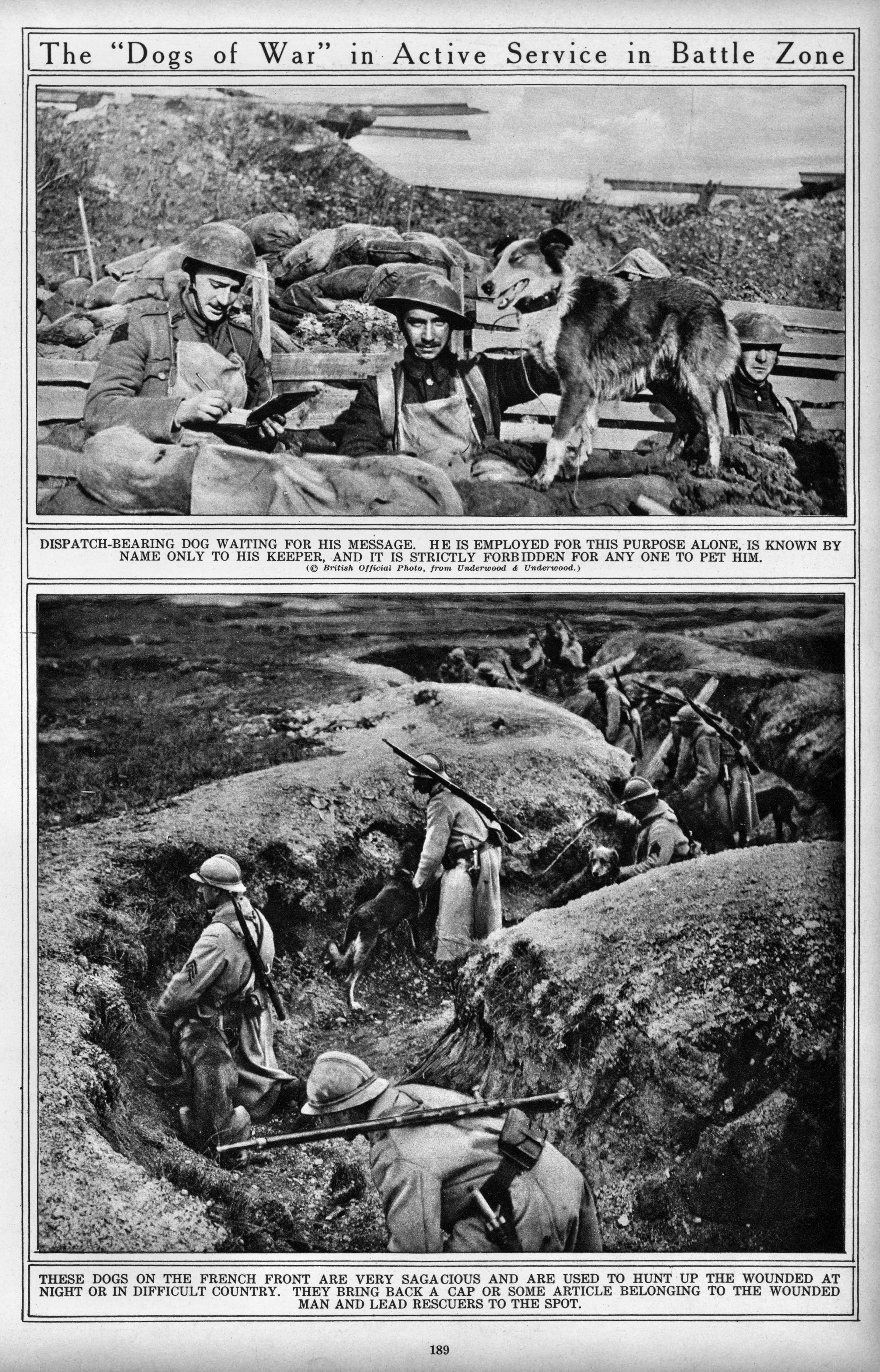 The war of the nations_ww1_183 photo
