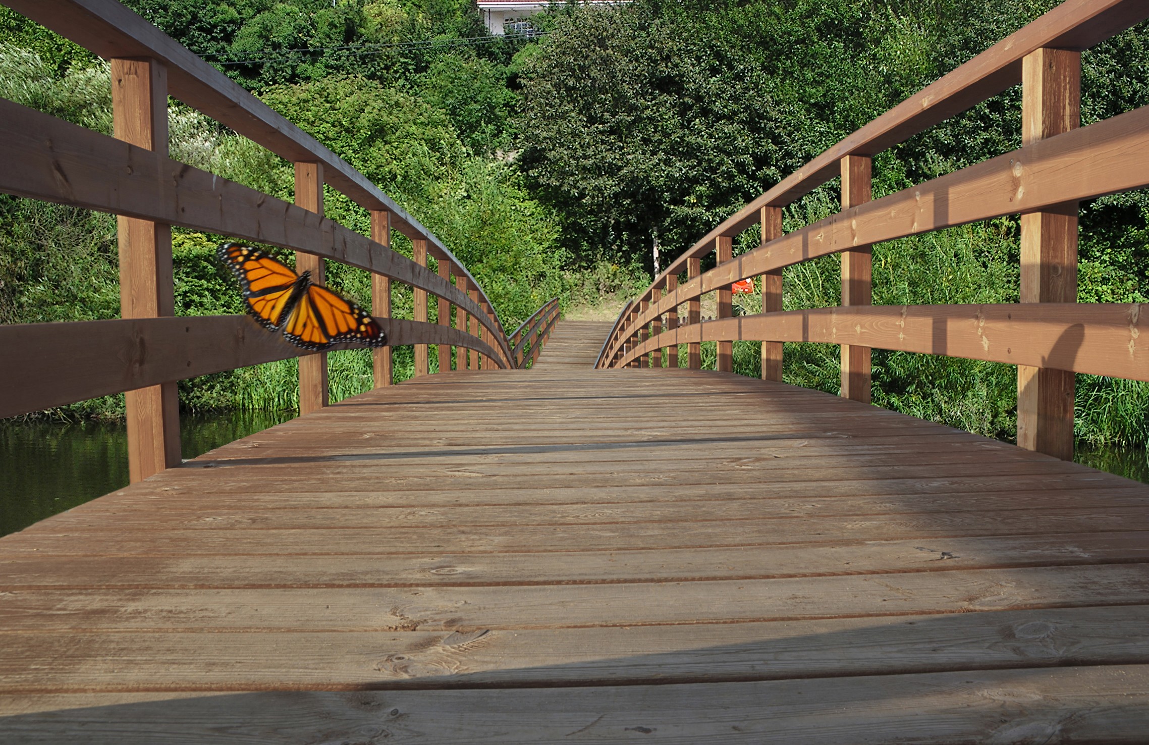 The wooden bridge park picture, by Goberphoto for: wooden bridge ...