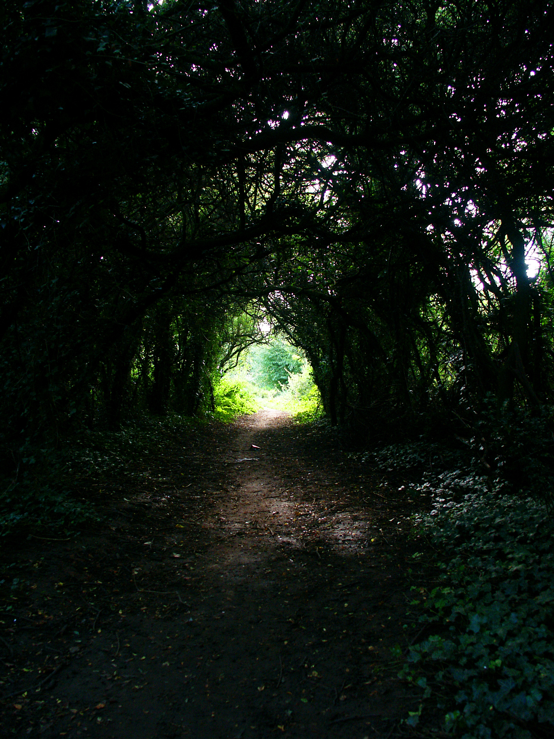 There is light at the end of the tunnel! photo