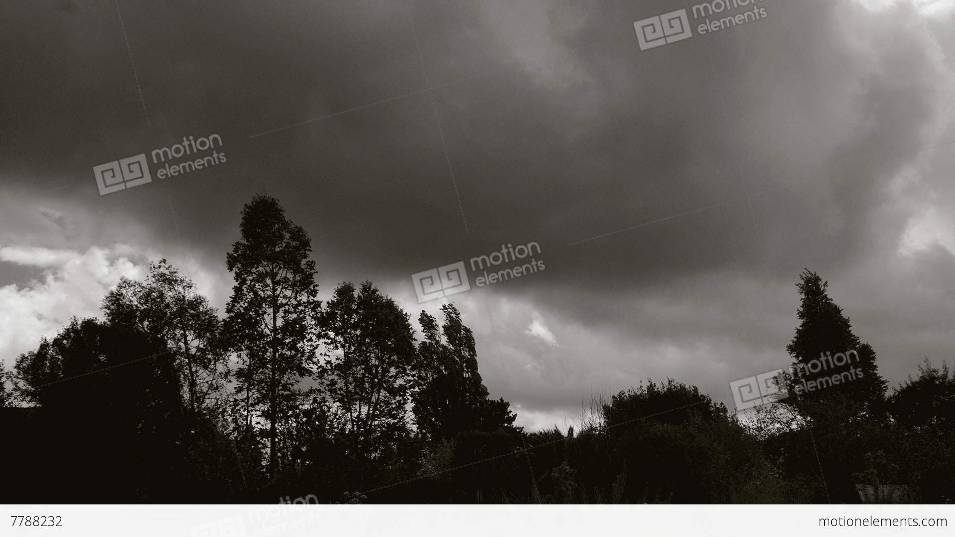 Timelapse With Thick Clouds Over Various Trees And A Meadow, Black + ...