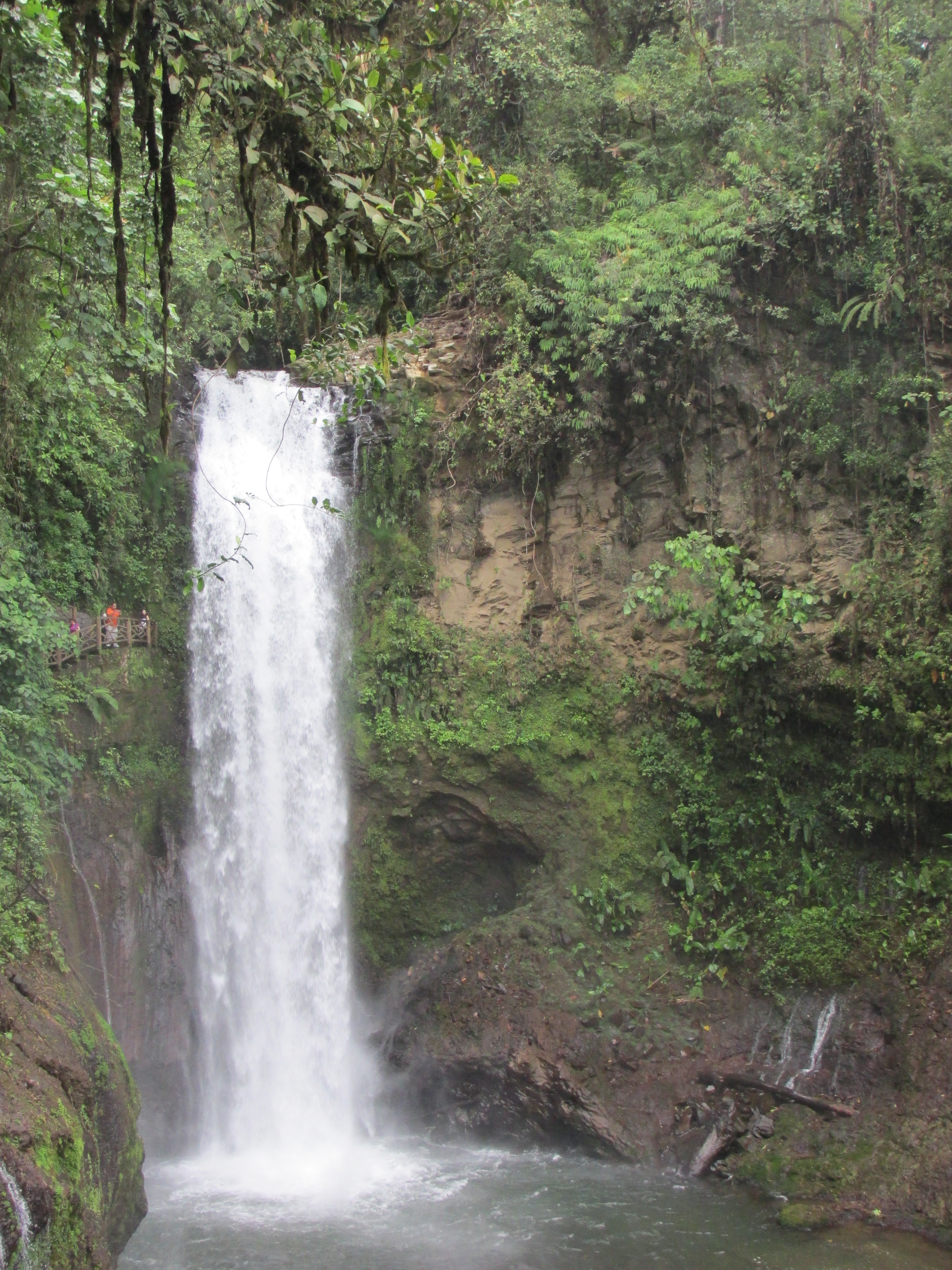 Pura Vida – Page 2 – My adventures and encounters in Costa Rica