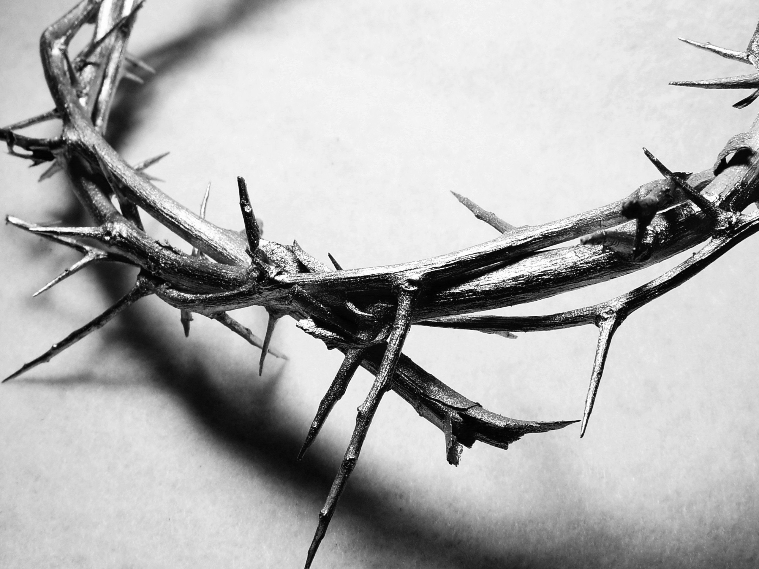crown-of-thorns - Redeeming Moments