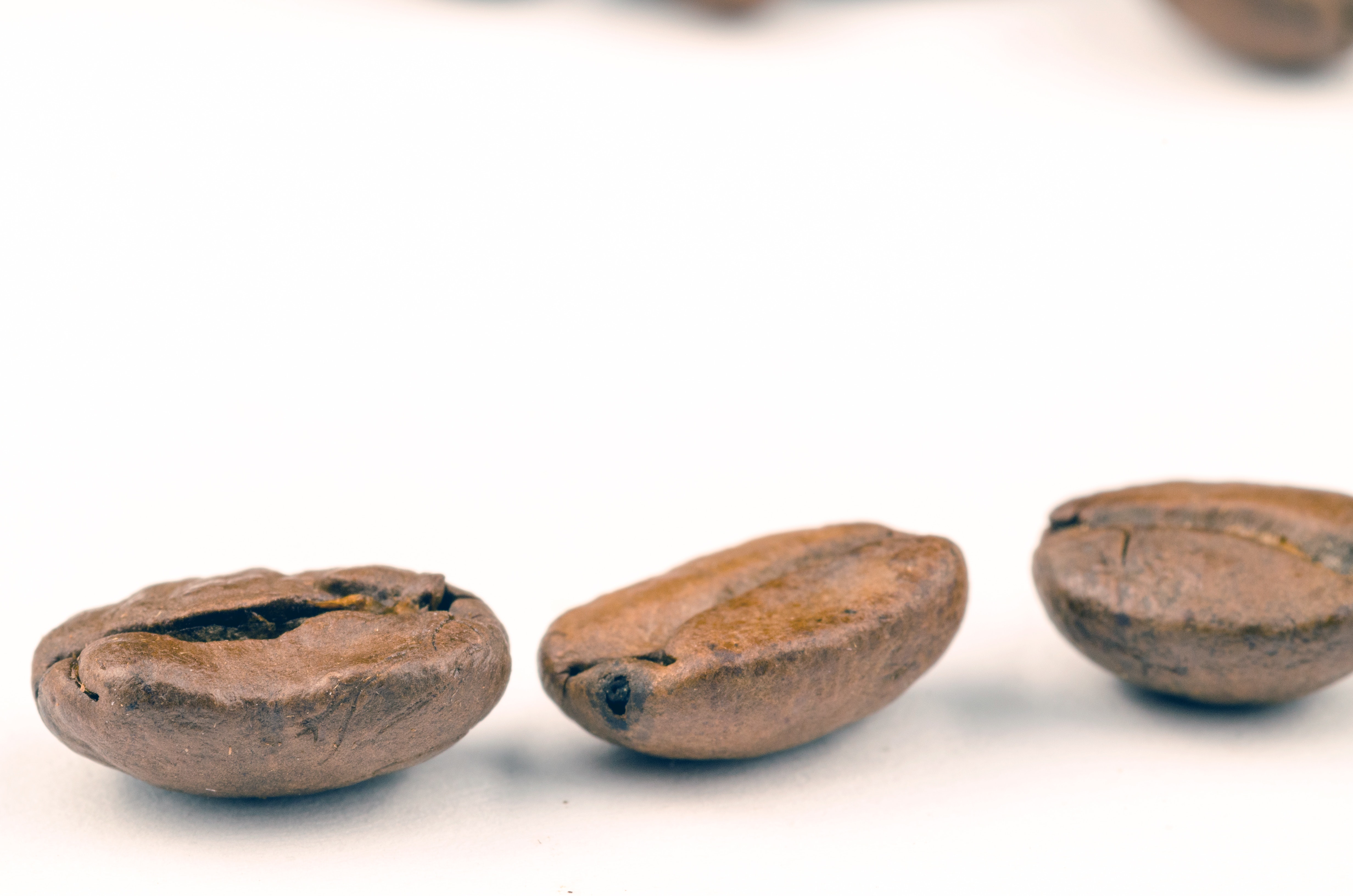 Three coffee beans photo