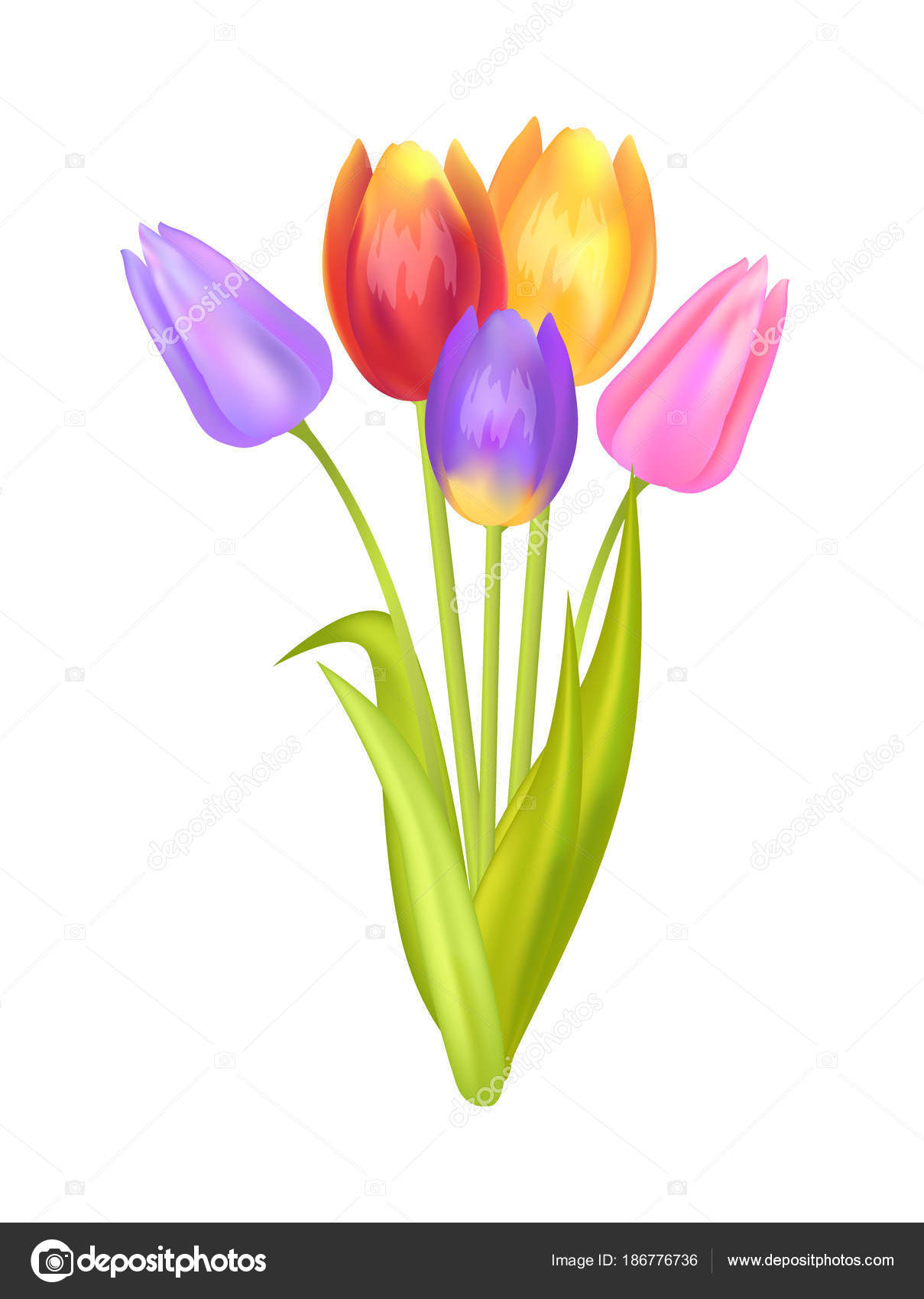 Colorful Bouquet with Three Tulips of Multi Color — Stock Vector ...