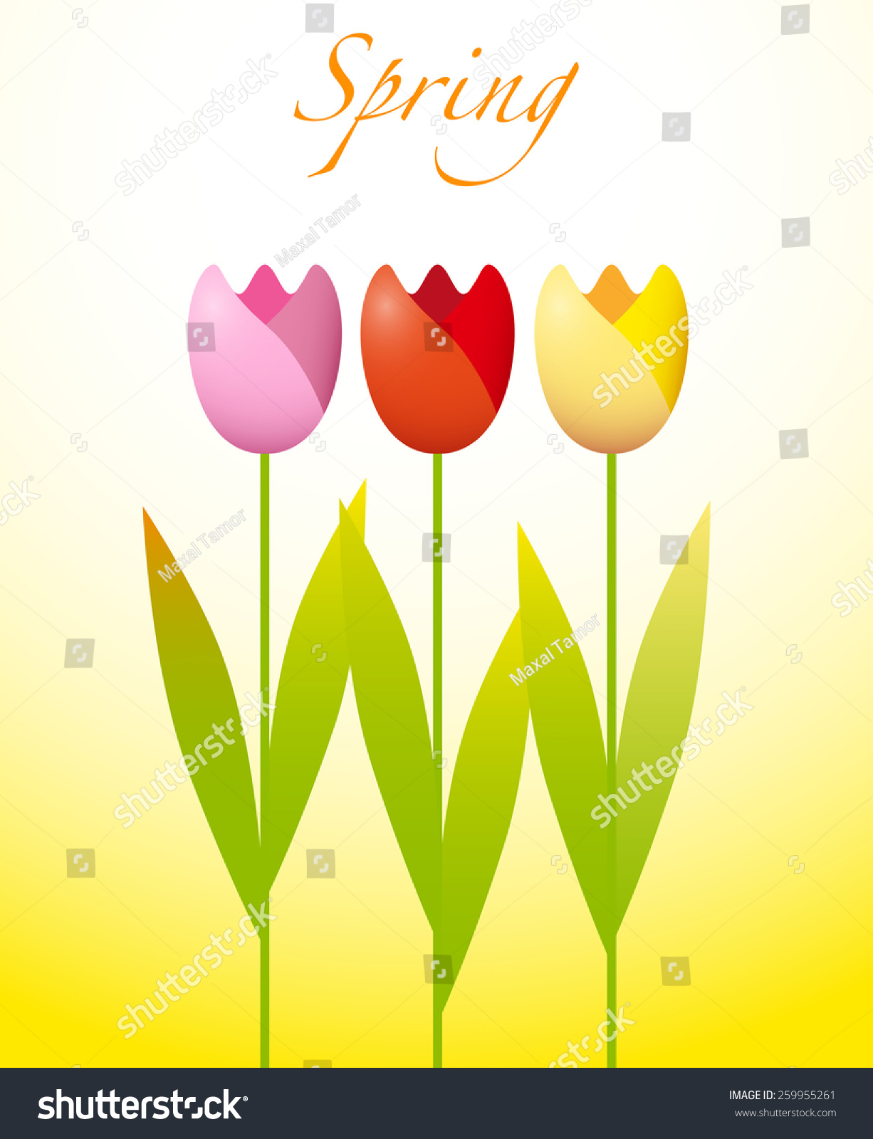 Three Colorful Tulips On Spring Background Stock Vector 259955261 ...