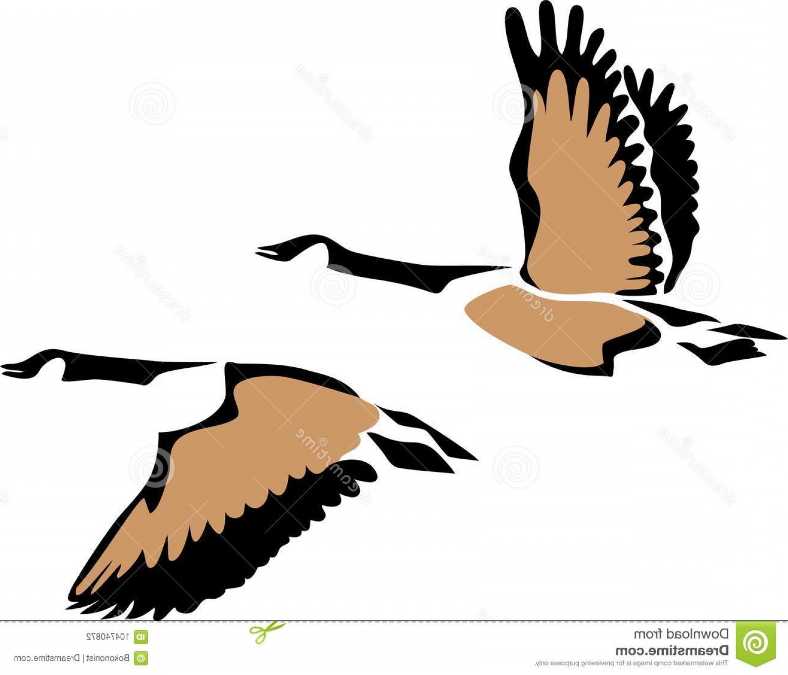 Stylized Three Colours Vector Illustration Flying Geese Canada Goose ...