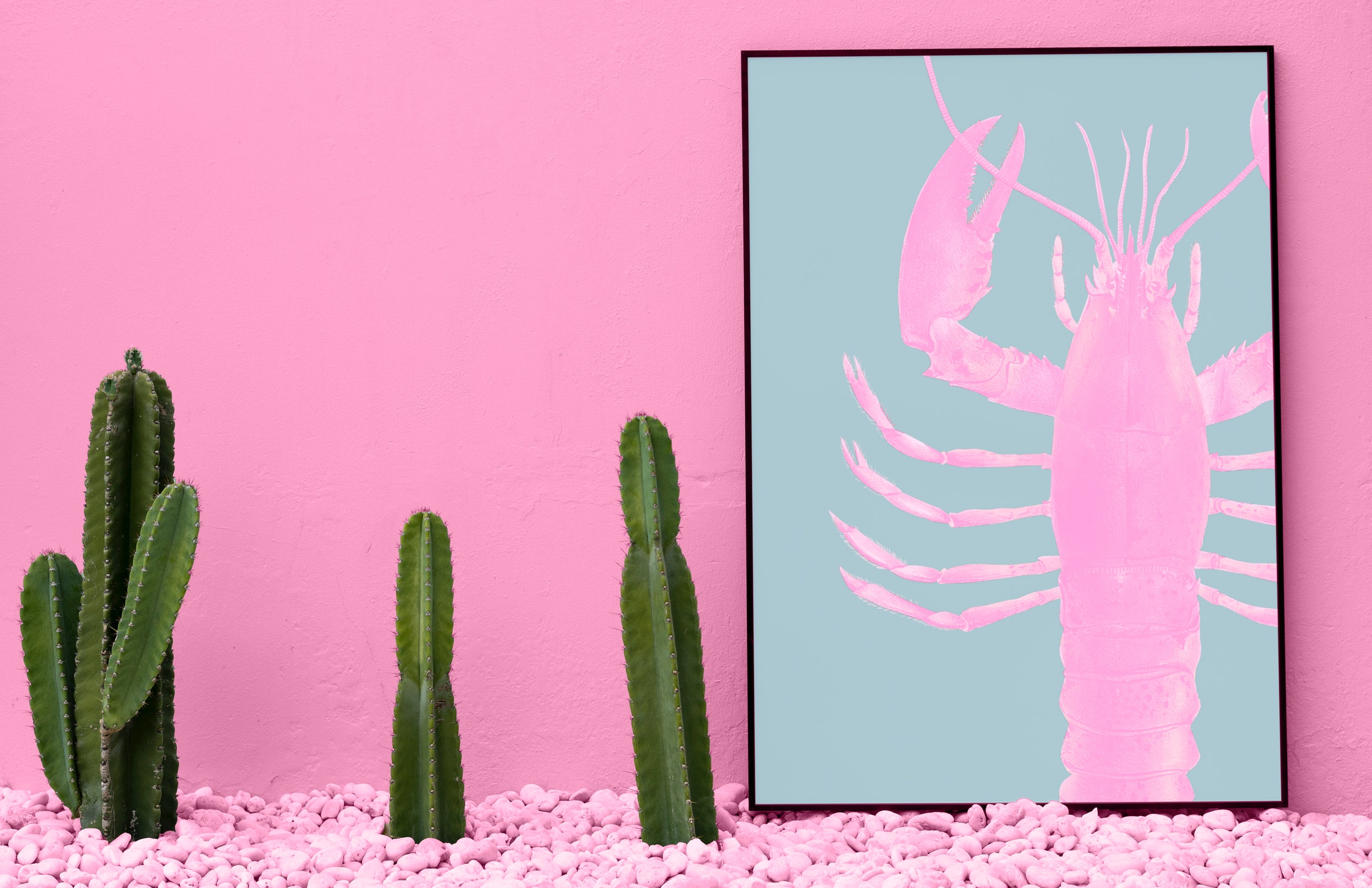 Three Green Cactus and Pink Beside Craw-fish Painting, Bright, Cactuses, Close-up, Colors, HQ Photo