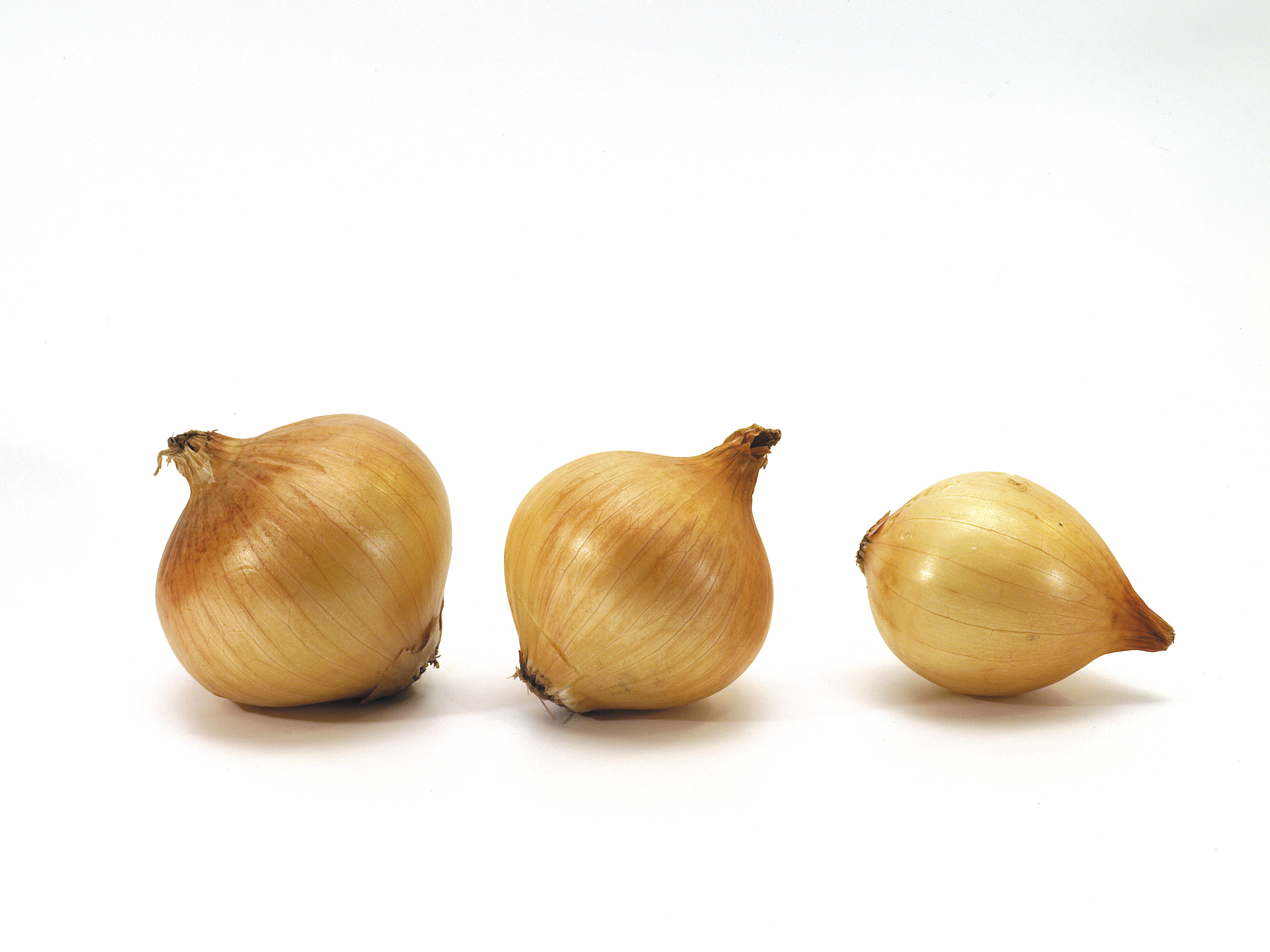 File:Three onions on white background.jpg - Wikimedia Commons