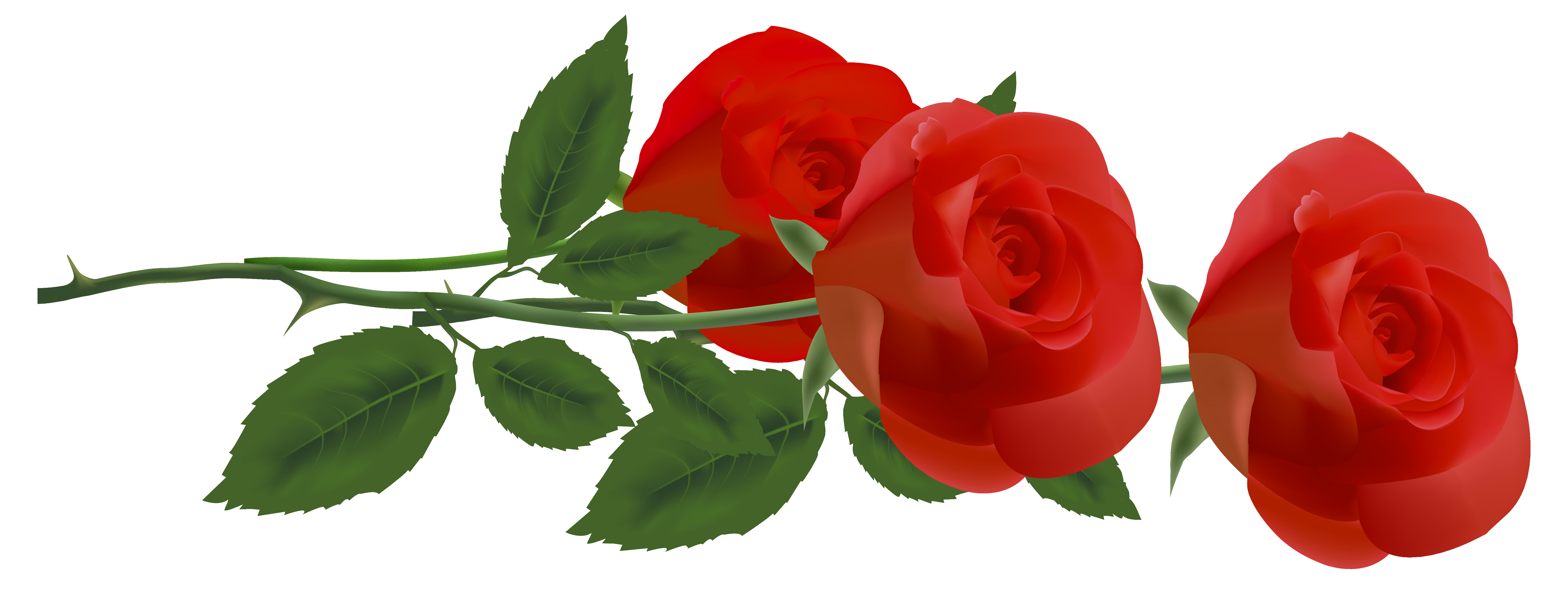 Three Red Roses PNG Clipart Picture | Gallery Yopriceville - High ...
