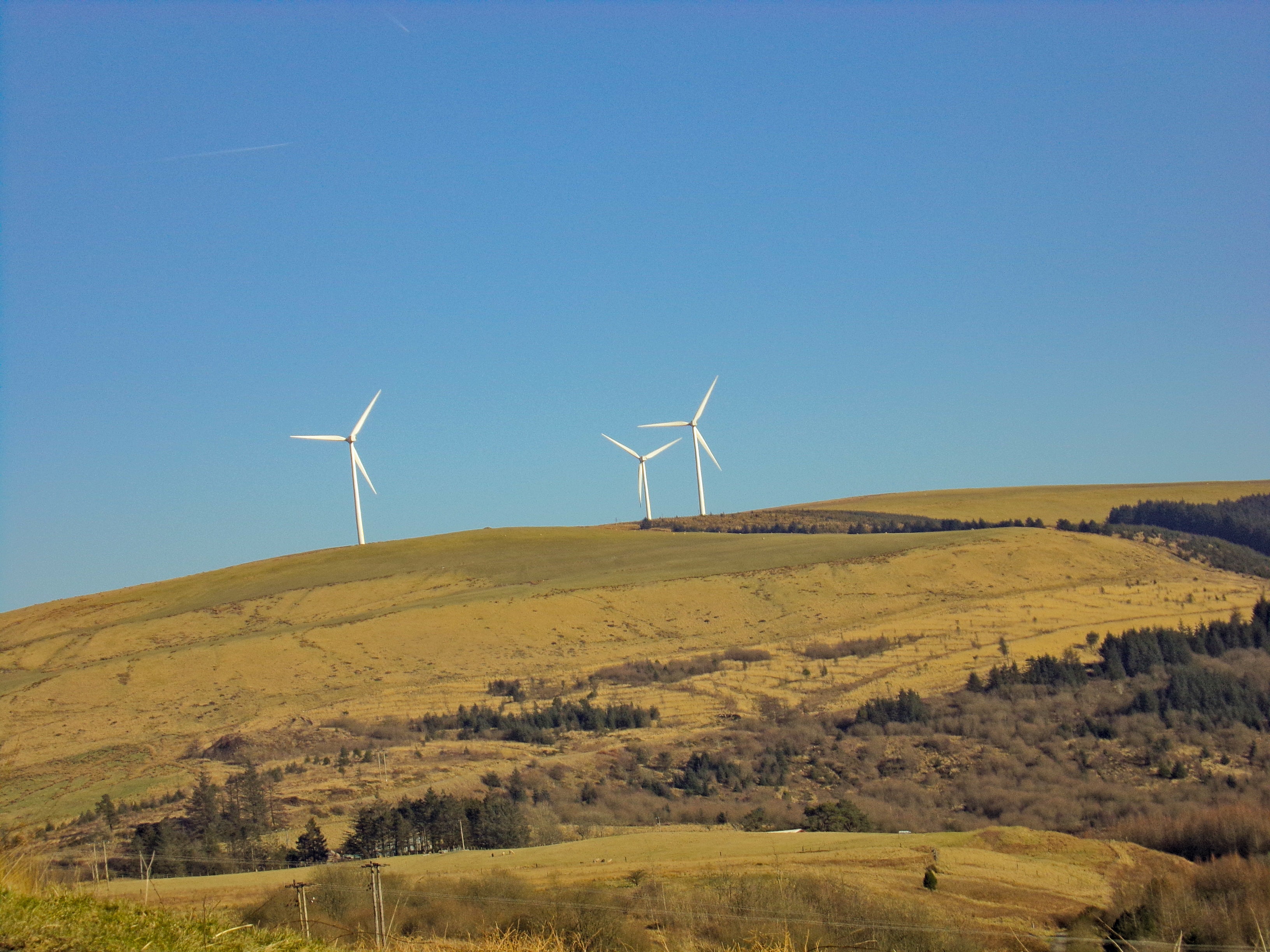 Three white windmills on green field under blue sky photo