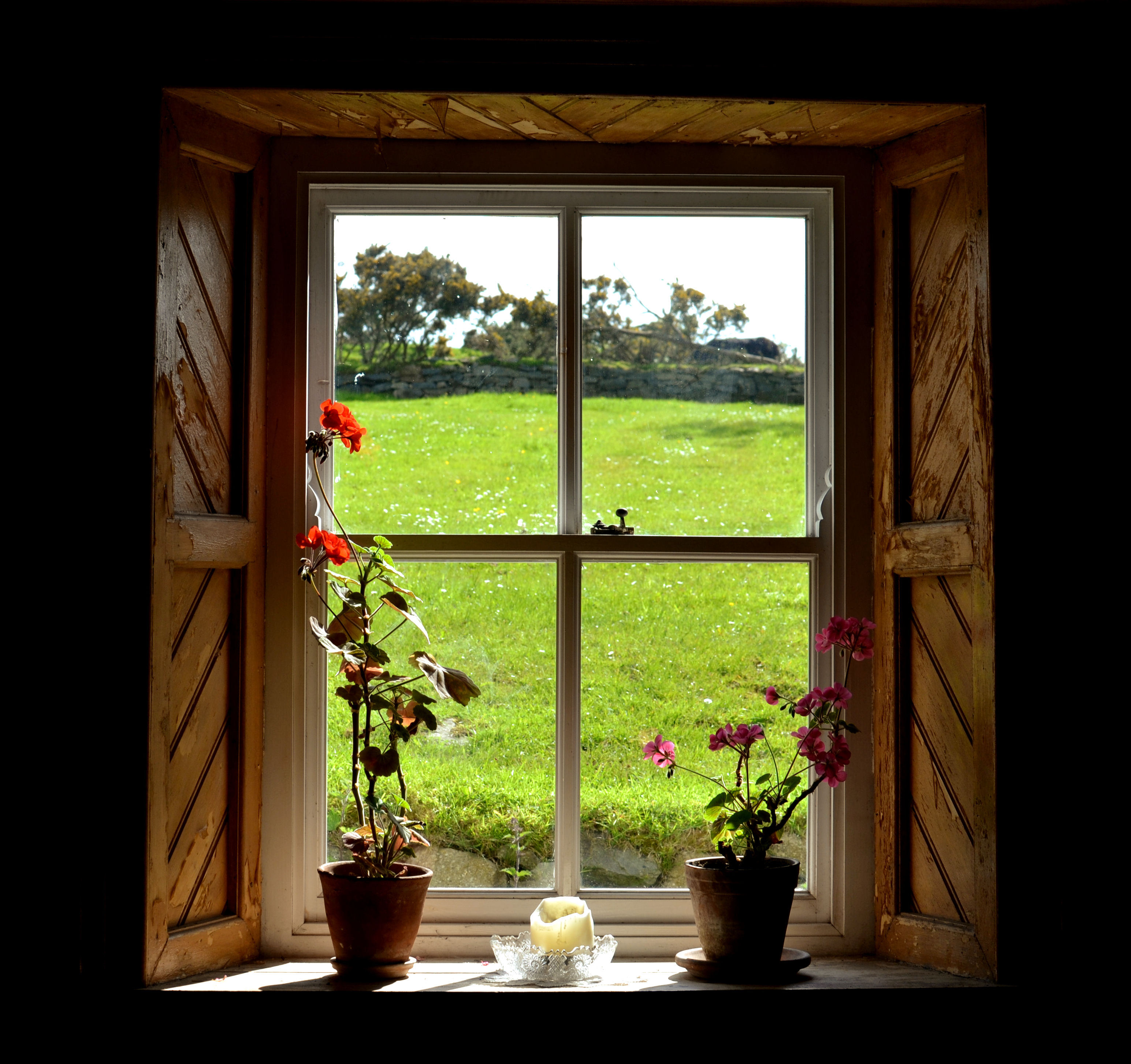 Composure through the window … – Photo's by David Roulston