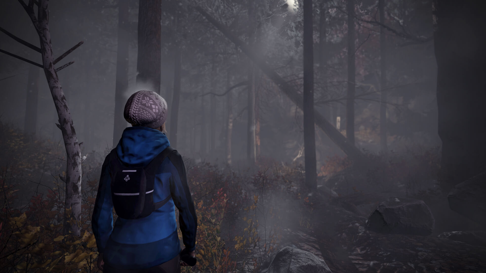 Upcoming Horror Game Will Take You Through the Woods - Dread Central