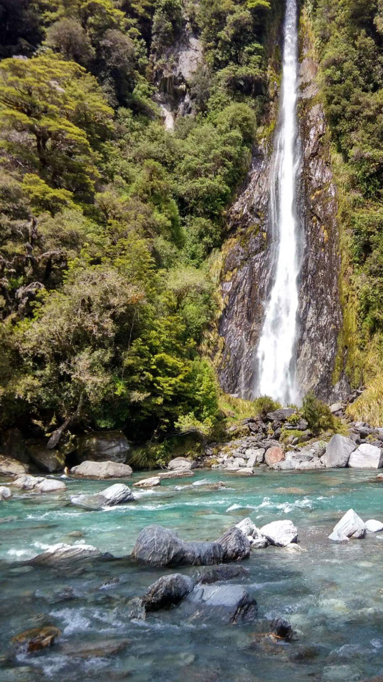 Thunder Creek Falls, Mt Aspiring National Park, New Zealand - A...