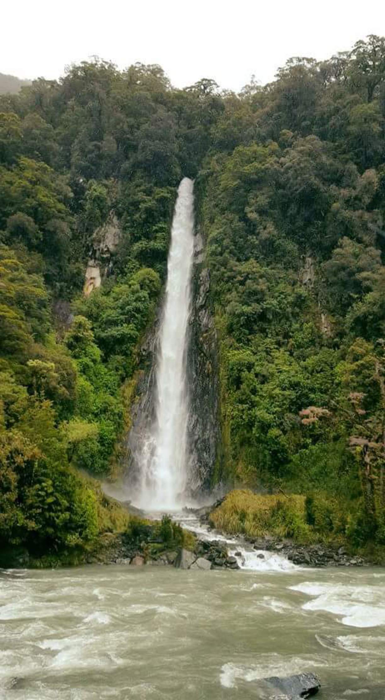 Thunder Creek Falls, Mt Aspiring National Park, New Zealand - Lives...