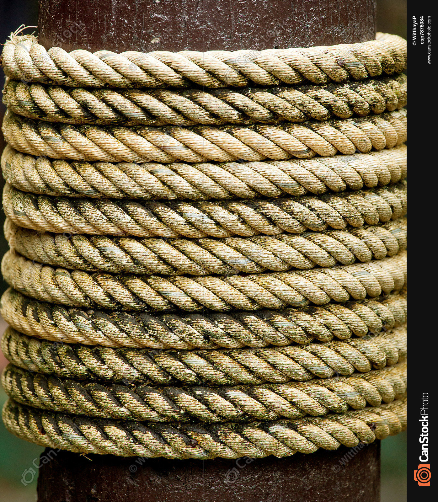 Rope tied around a wooden log stock photo - Search Photographs and ...