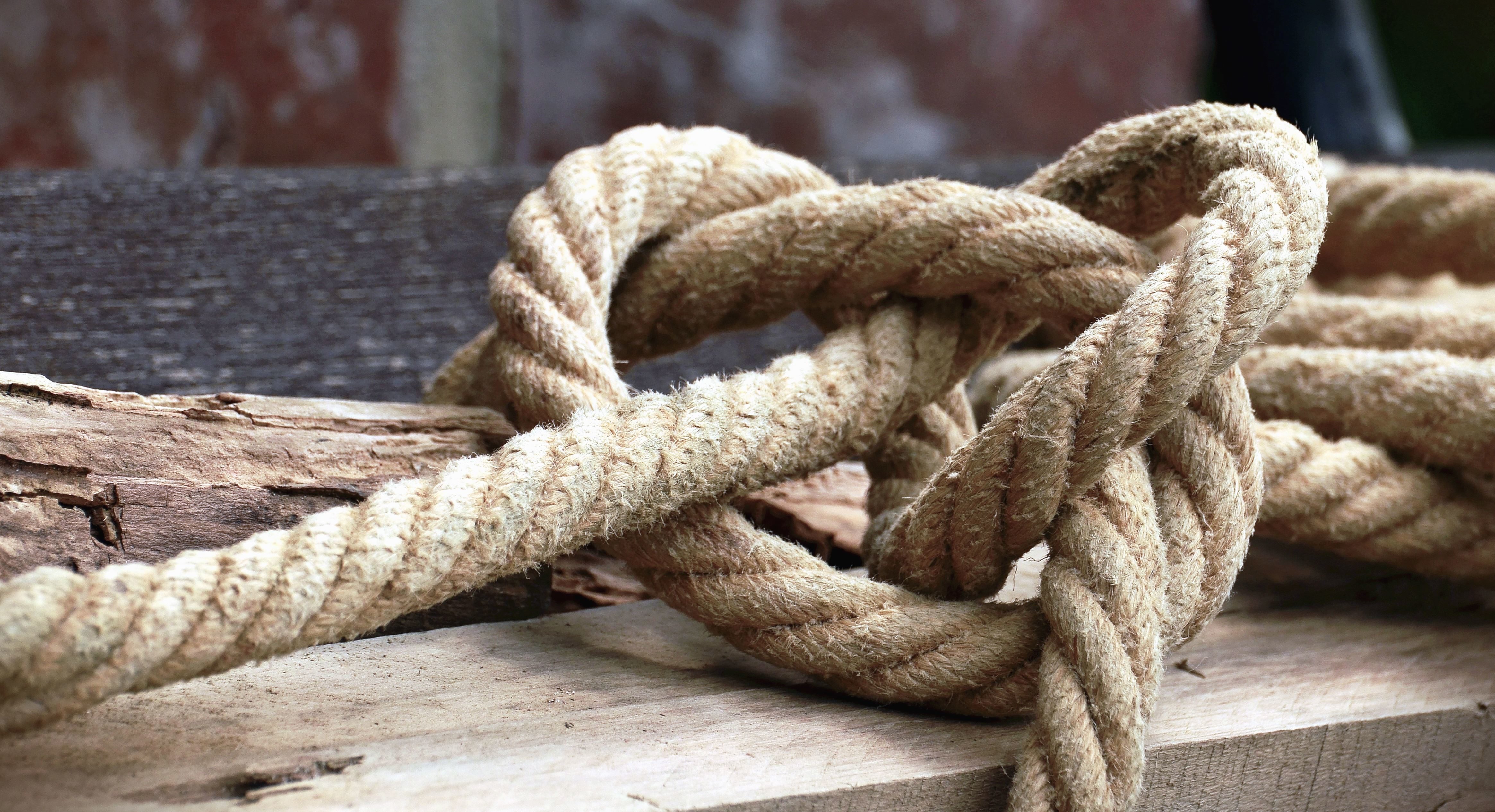 Free picture: wood, knot, rope, tied