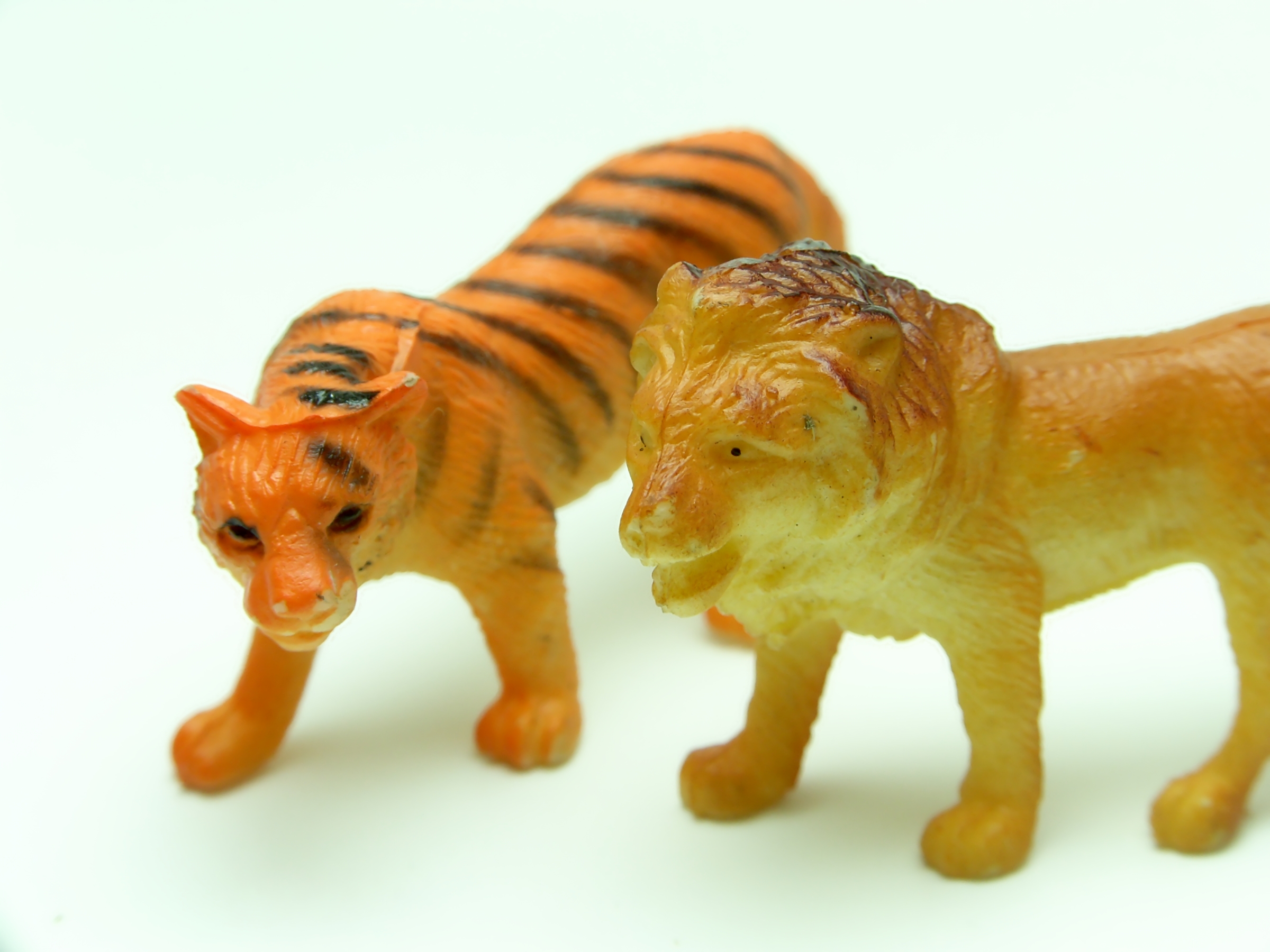 Tiger and lion, Animals, Isolated, Lion, Miniatures, HQ Photo