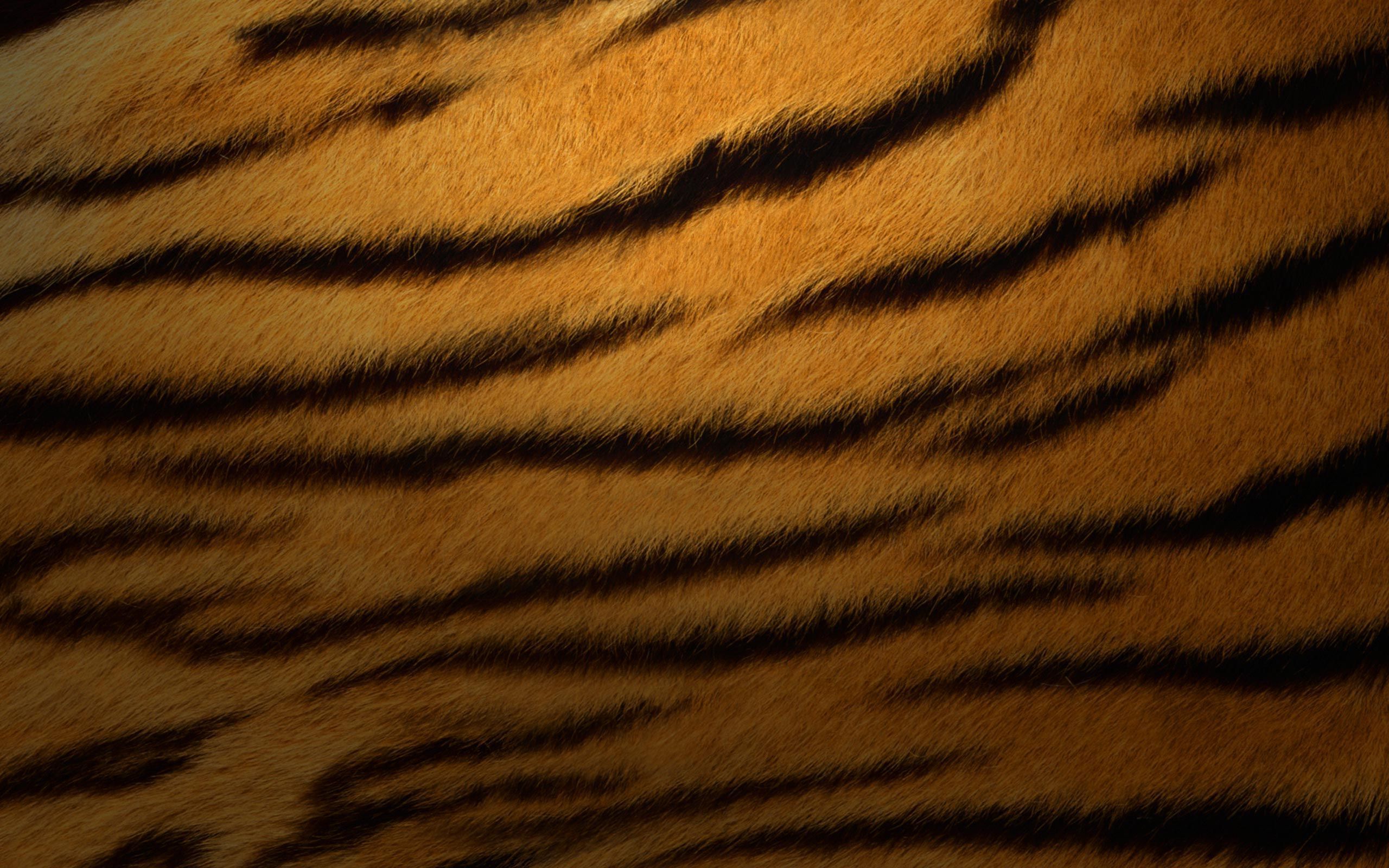 Tiger Fur Stock Photos, Images, & Pictures – (10,926 Images ...