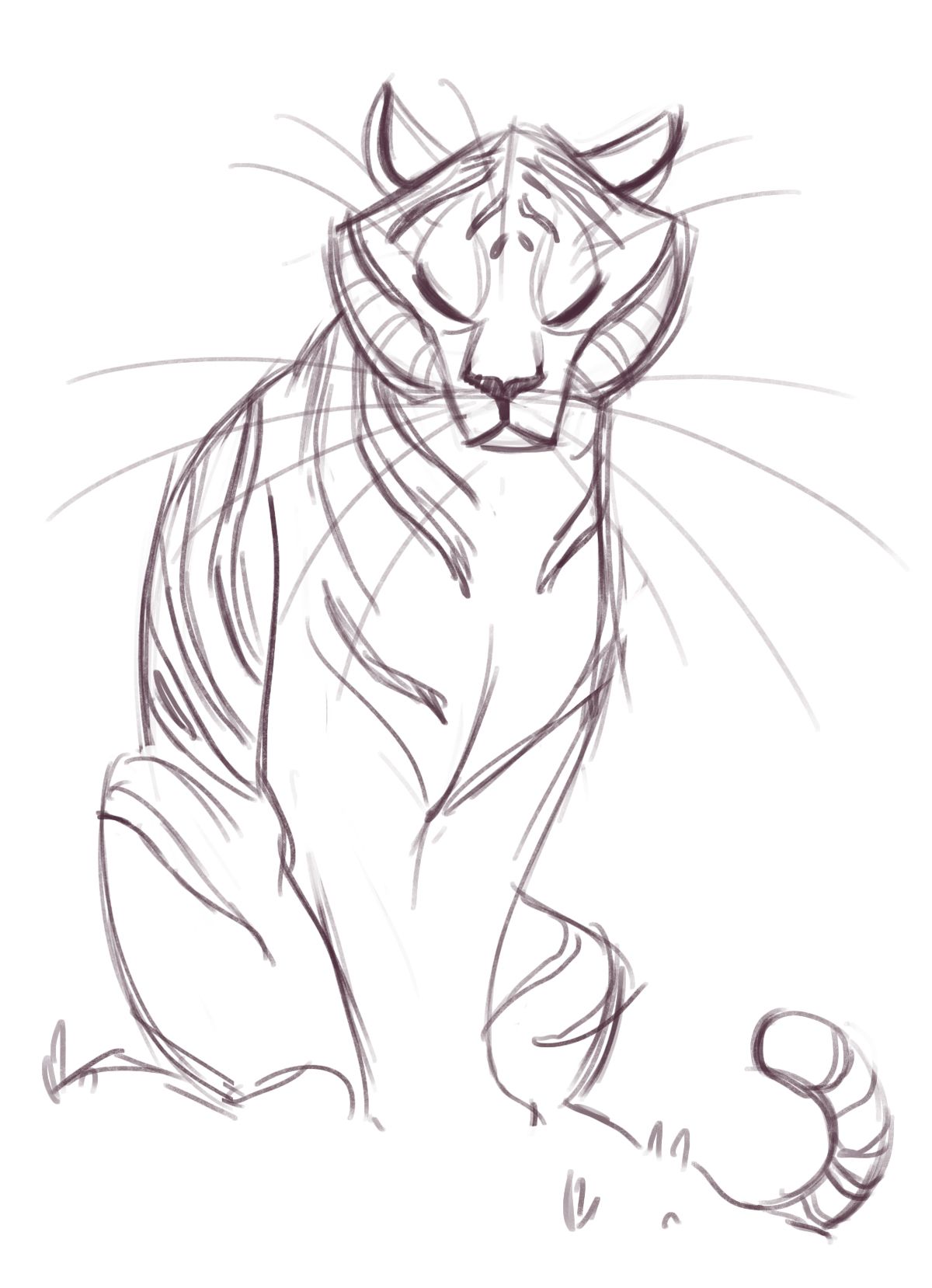 181: Tiger Sketch | ART - I likes what they drew | Pinterest | Tiger ...
