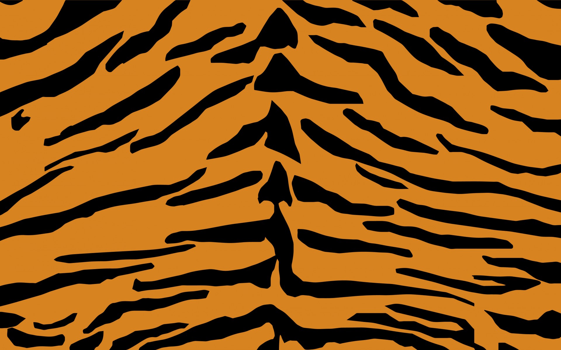 Tiger Skin Print Pattern Free Stock Photo - Public Domain Pictures