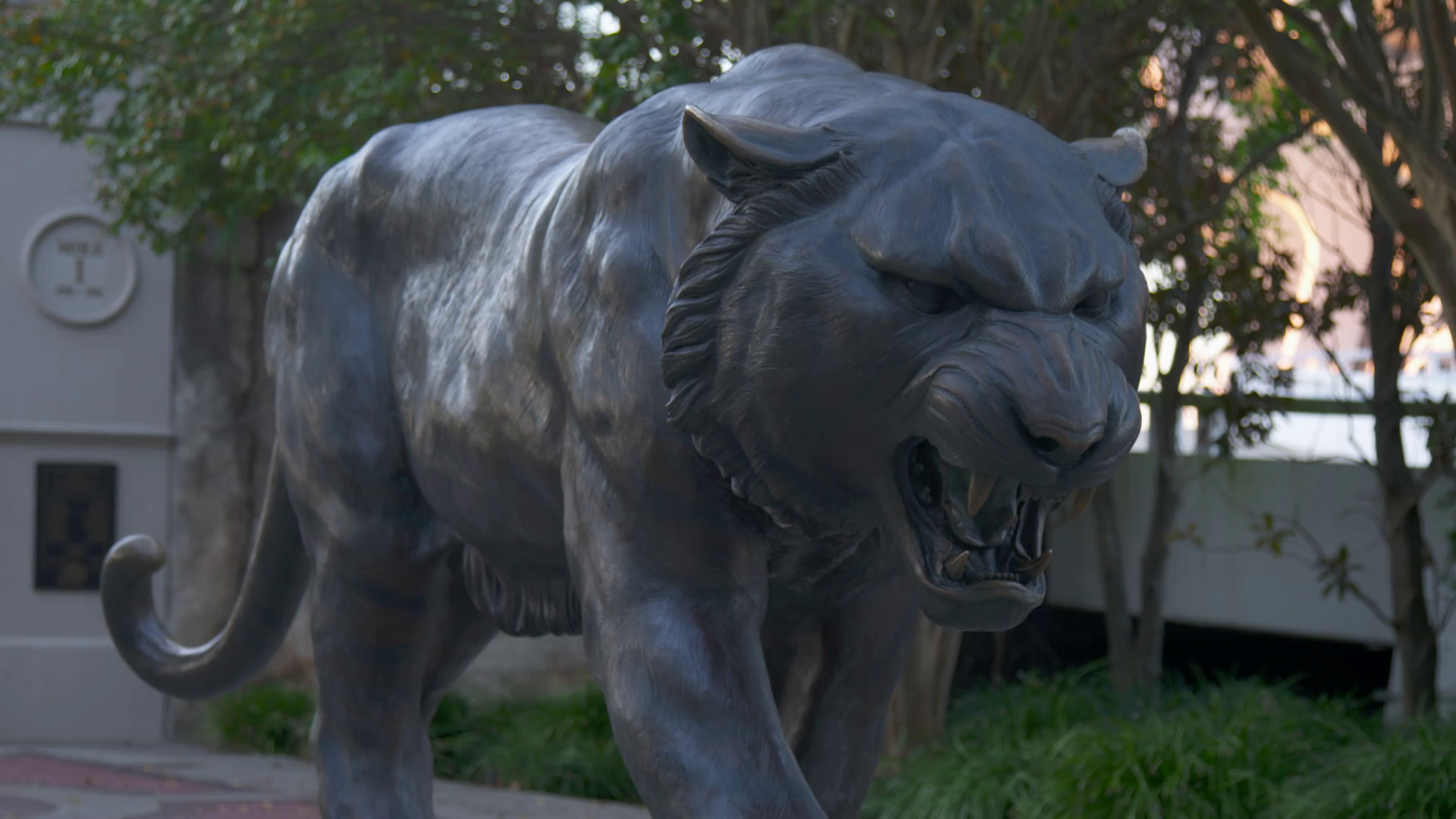 Louisiana state university LSU Tiger mascot Statue Medium Static ...