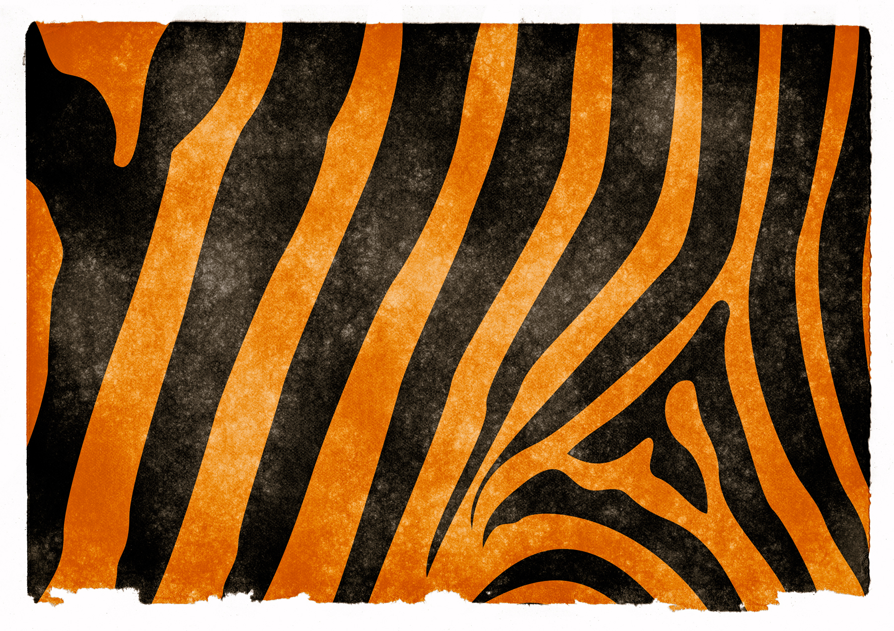 Tiger stripes grunge paper photo