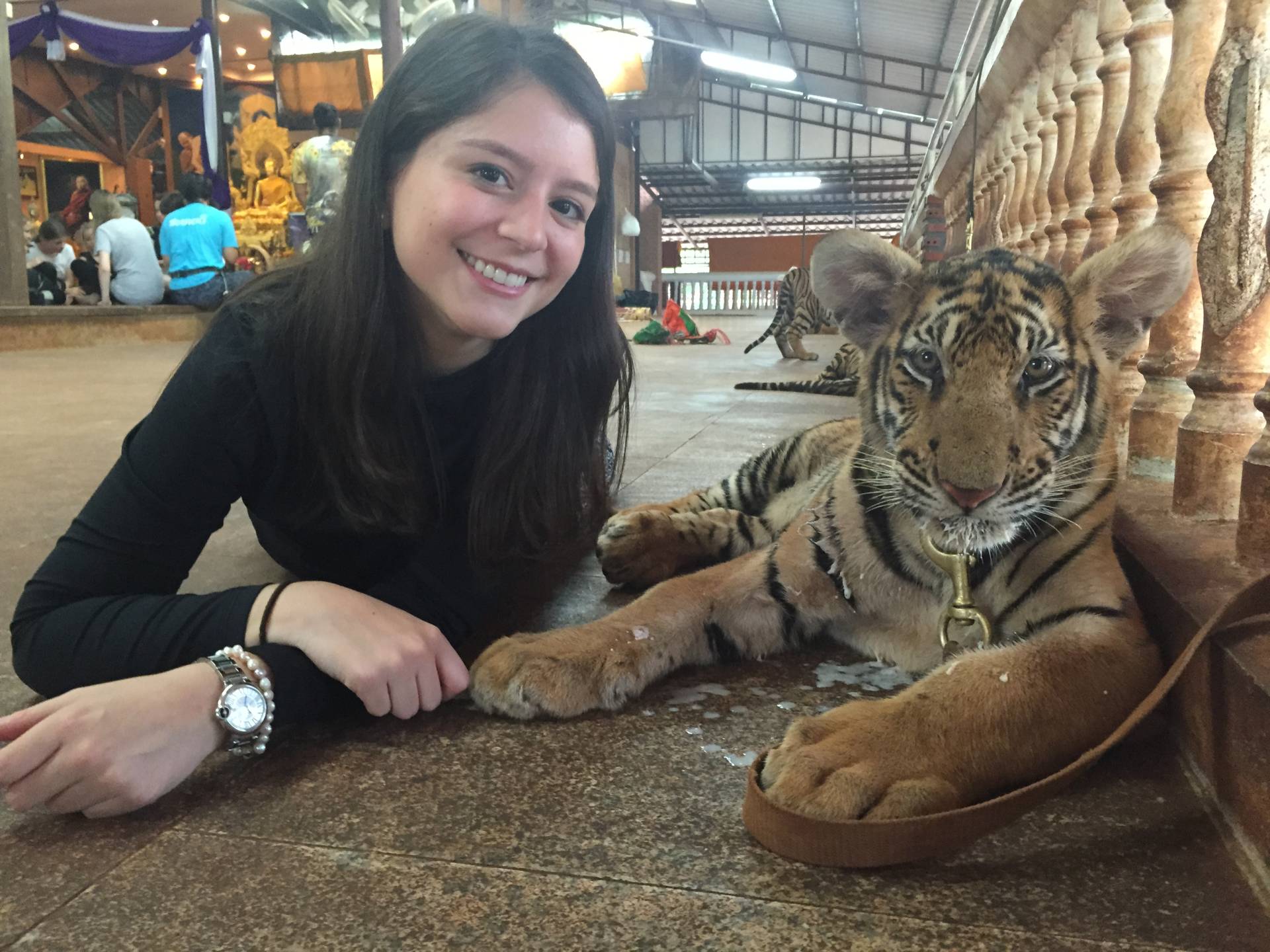 Thailand's Tiger Temple: Playing with Wild Animals in Captivity ...