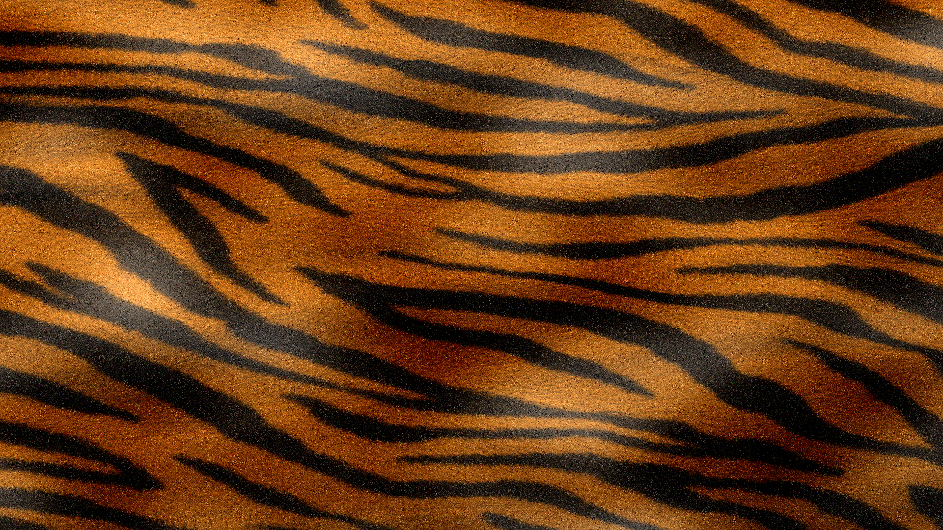 Tiger texture photo