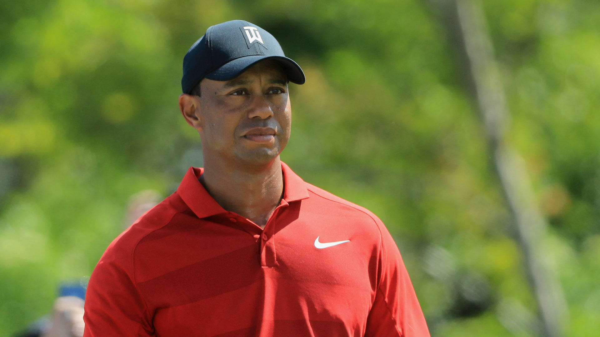 Tiger's agent: 'Egregious errors' in 'Tiger Woods' book | Golf Channel