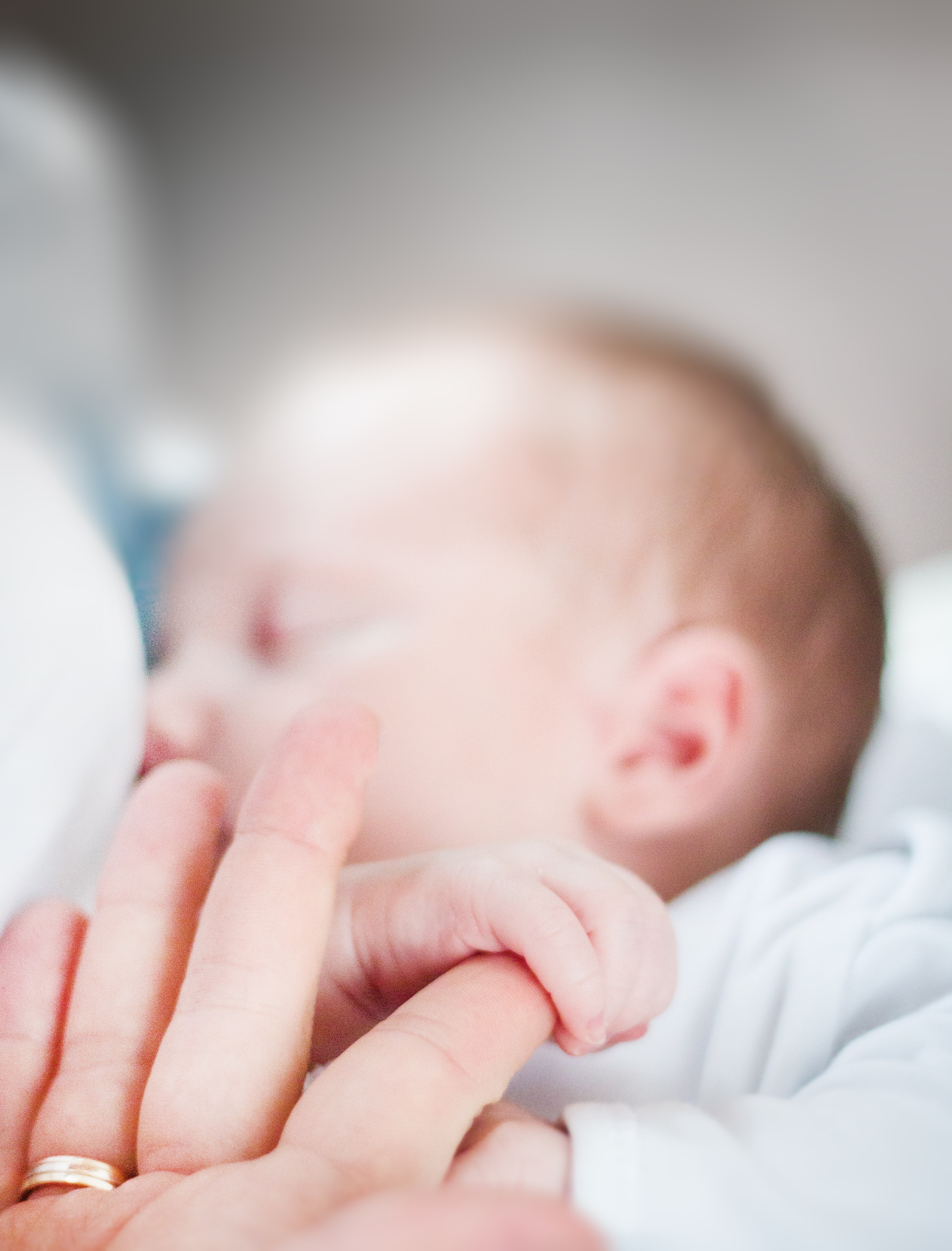 Tilt-shift lens photo of infant's hand holding index finger of adult