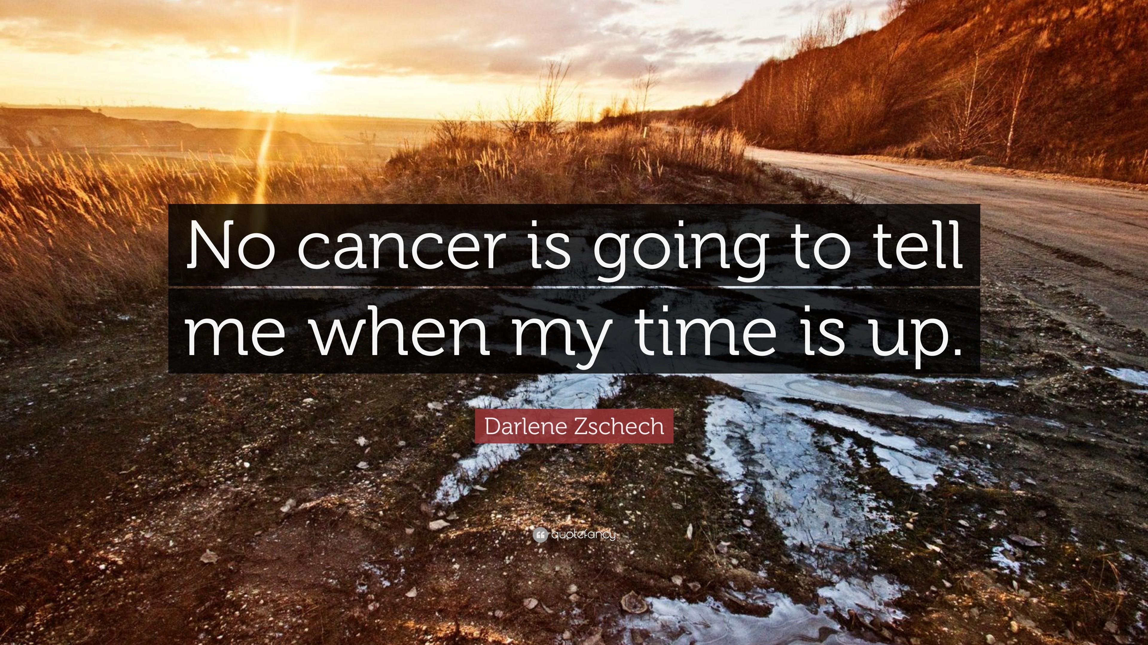 Darlene Zschech Quote: “No cancer is going to tell me when my time ...